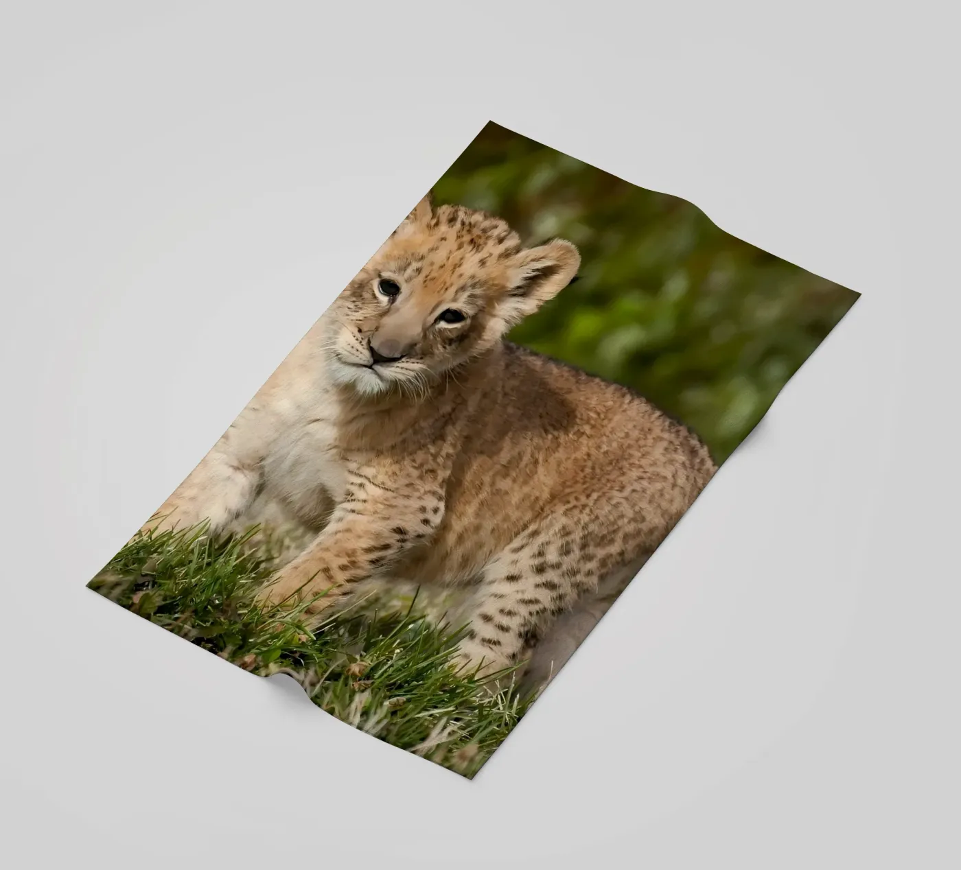 Dierenposter 72 strandhanddoek van Korrie Lane
