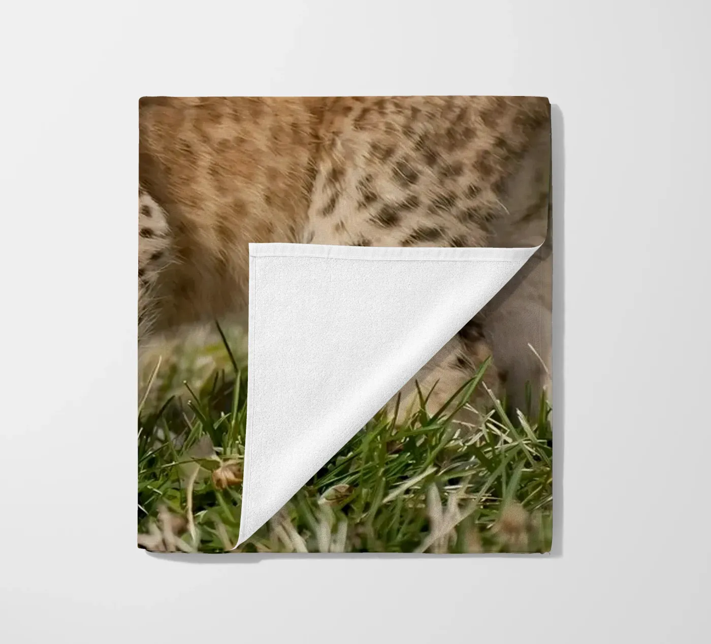 Dierenposter 72 strandhanddoek van Korrie Lane