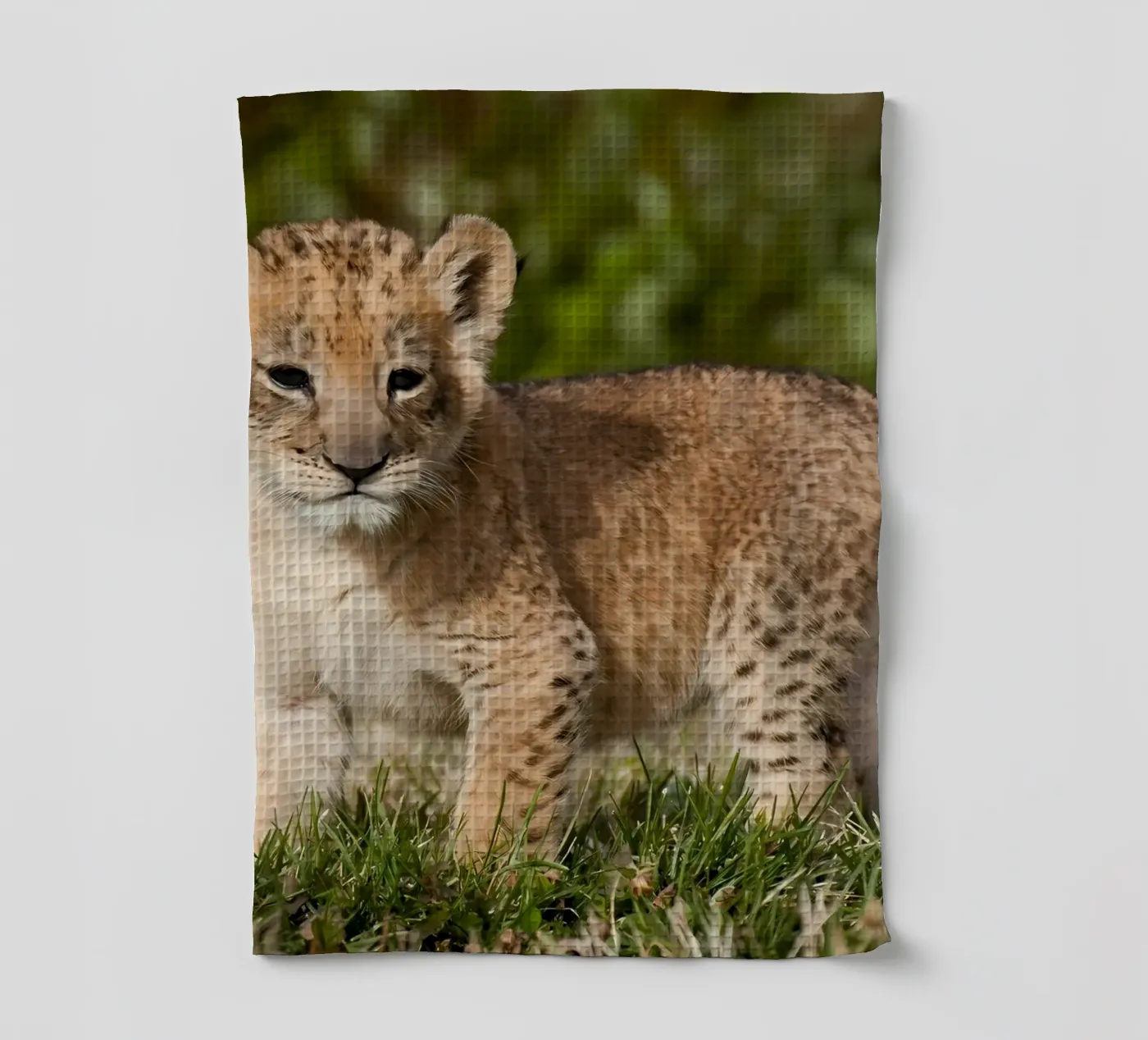 Dierenposter 72 theedoek van Korrie Lane