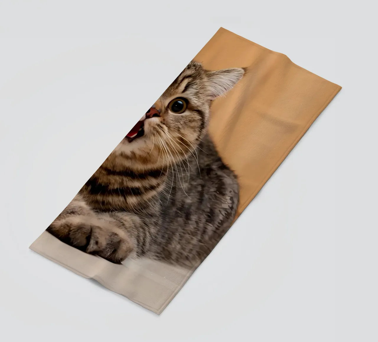 Poster animali 82 telo mare da Korrie Lane
