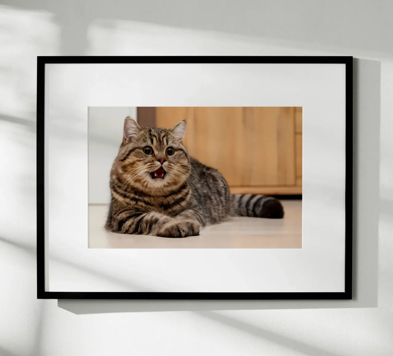 Tierposter 82 Hahnemühle von Korrie Lane