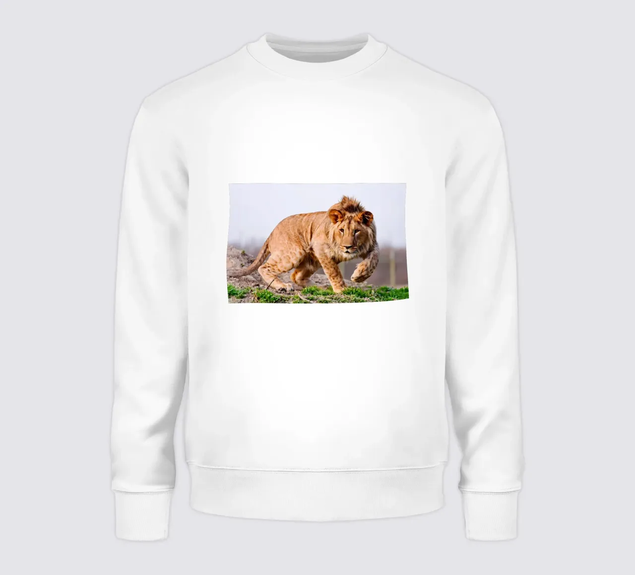 Tierposter 86 Sweatshirt von Korrie Lane