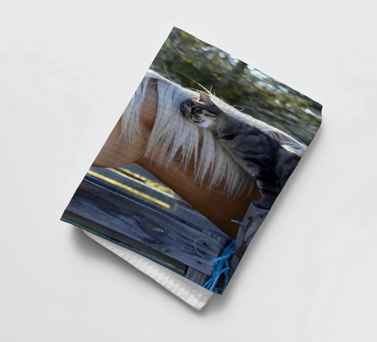 Poster d'animaux 97 torchon de Korrie Lane