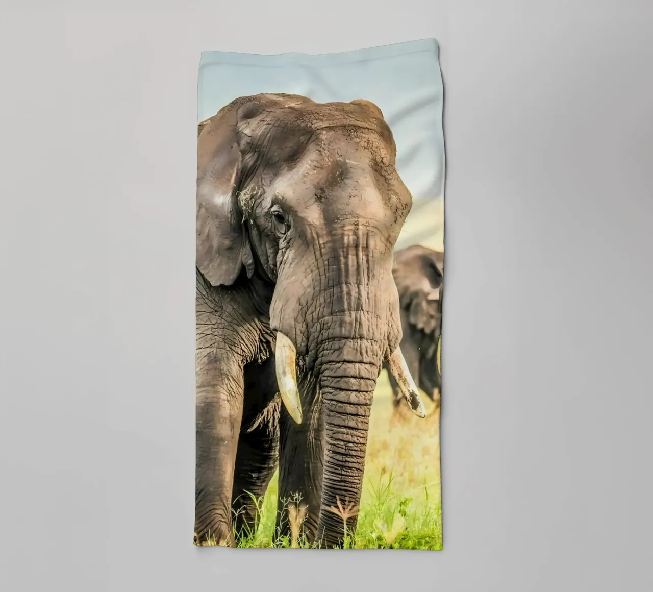 Poster animali 106 asciugamano da bagno da Korrie Lane