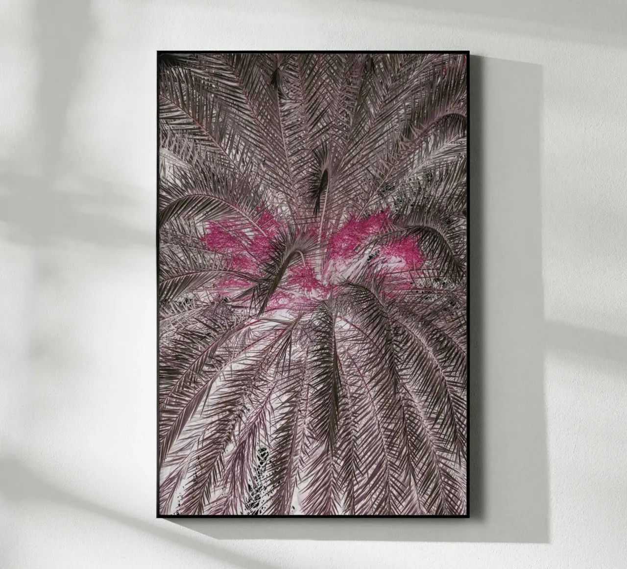 Pink Lady plexiglass da Shot By Clint