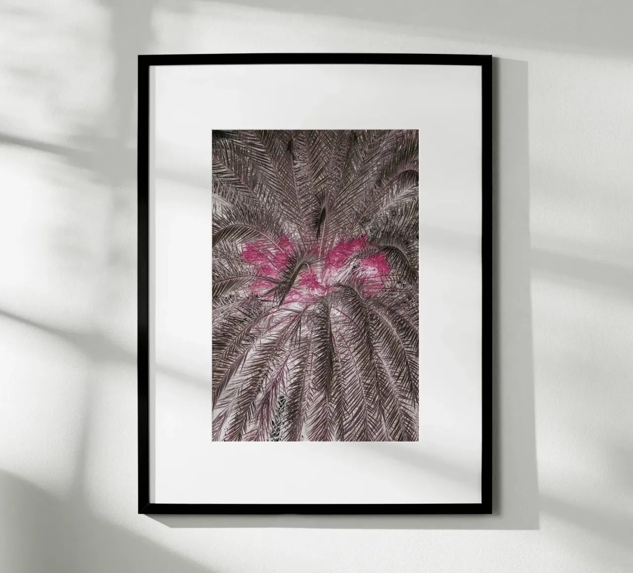 Pink Lady poster con telaio in alluminio da Shot By Clint
