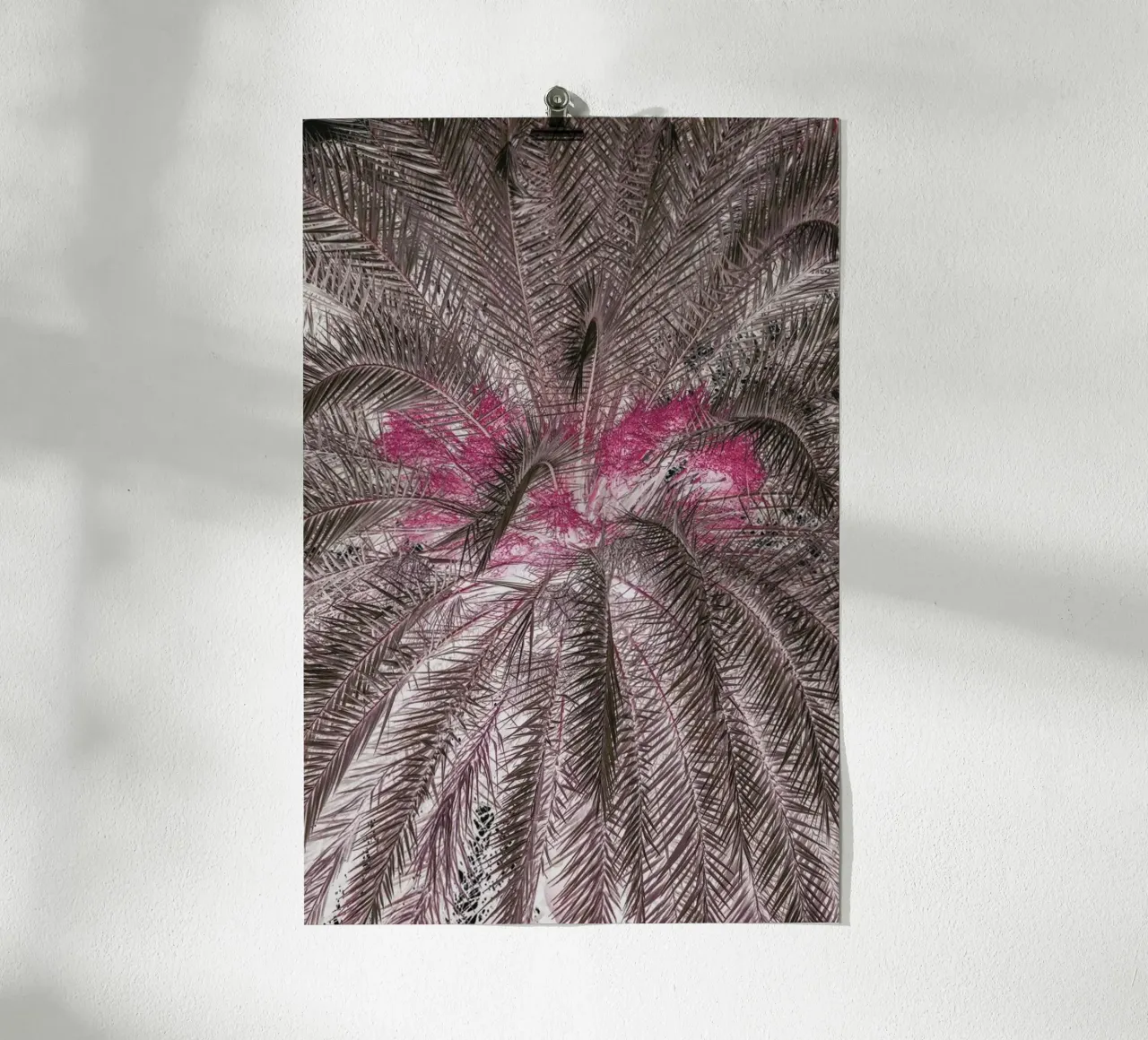 Pink Lady poster con telaio in alluminio da Shot By Clint