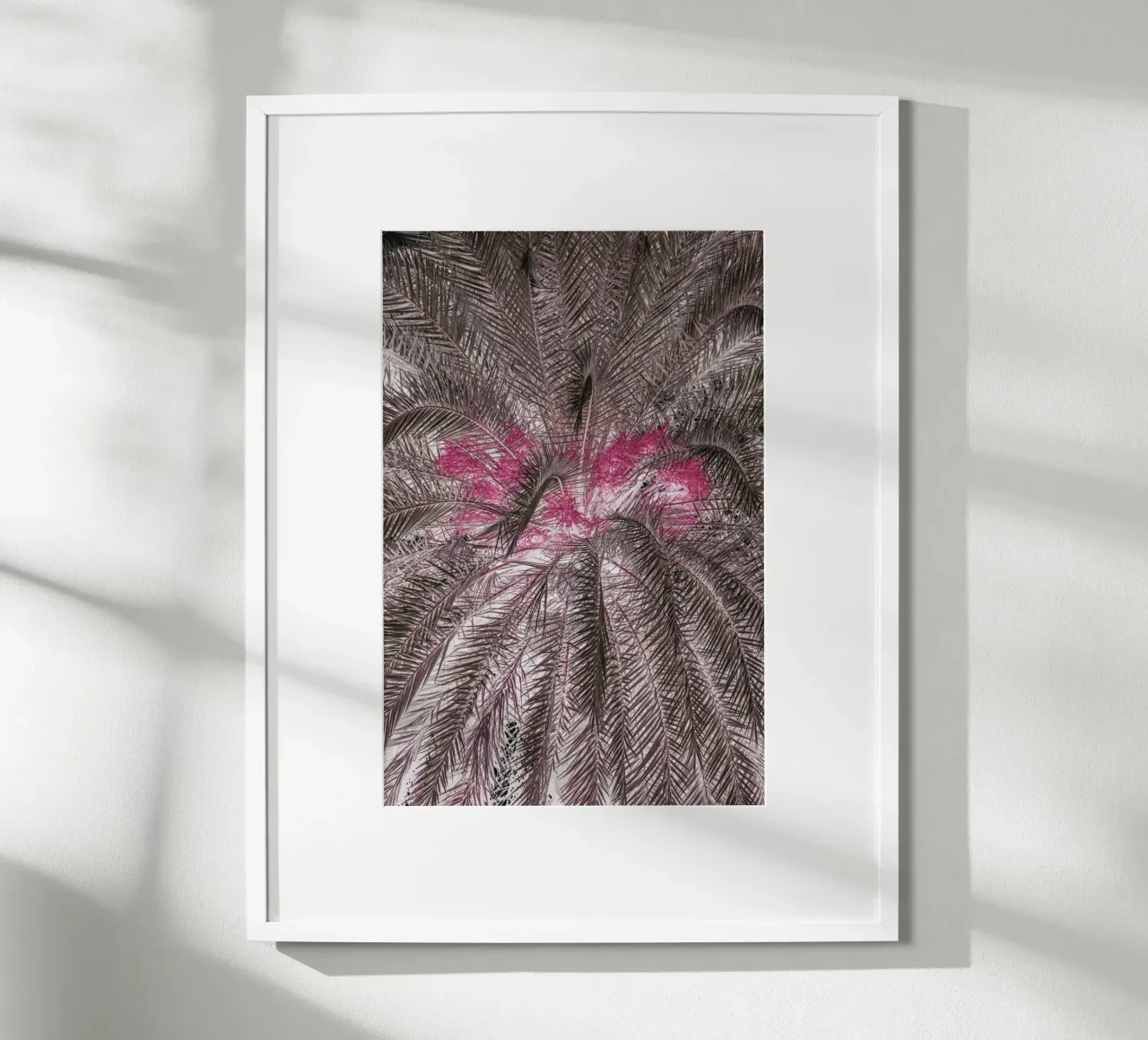 Pink Lady poster con telaio in alluminio da Shot By Clint