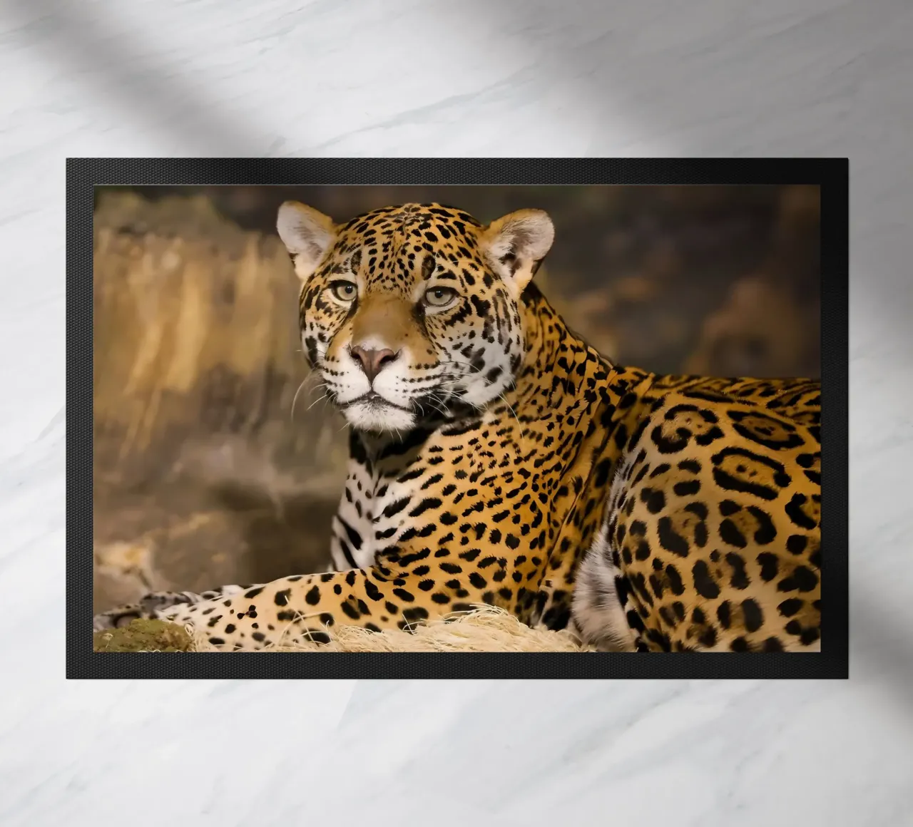 Dierenposter 120 deurmat van Korrie Lane