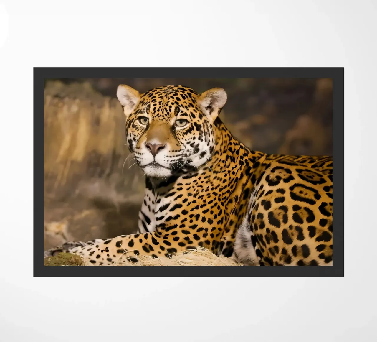 Dierenposter 120 deurmat van Korrie Lane