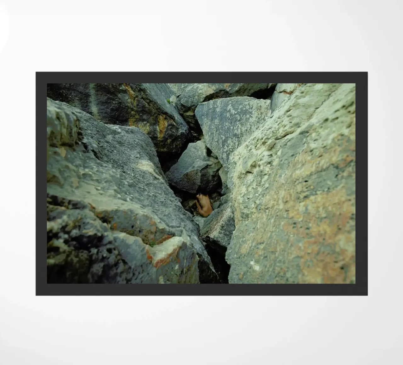 Awareness zerbino da Matevž Kosterov