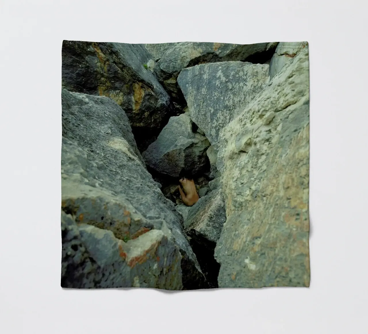 Awareness coperta in pile da Matevž Kosterov