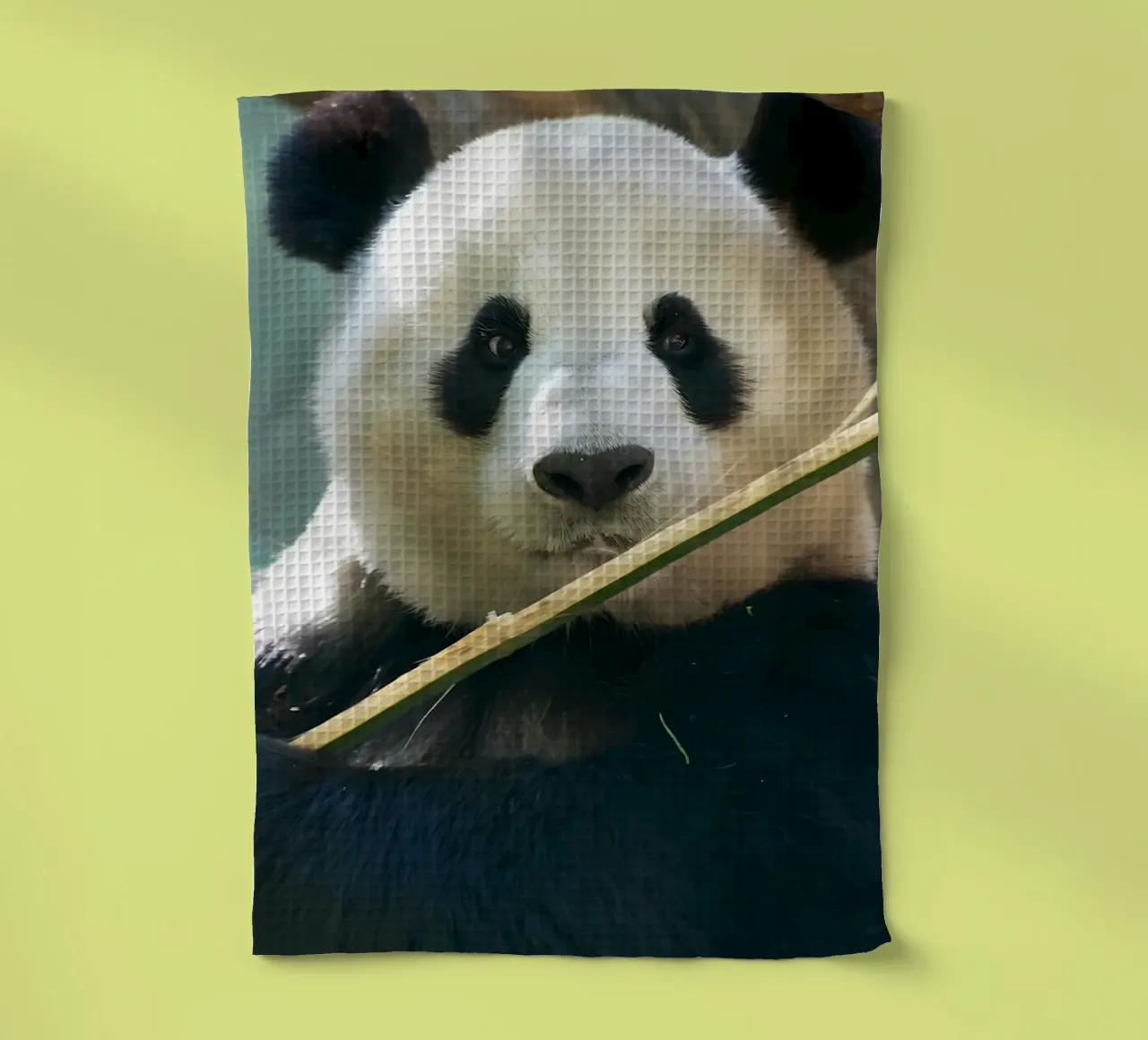 Animal poster 121 tea towel by Korrie Lane