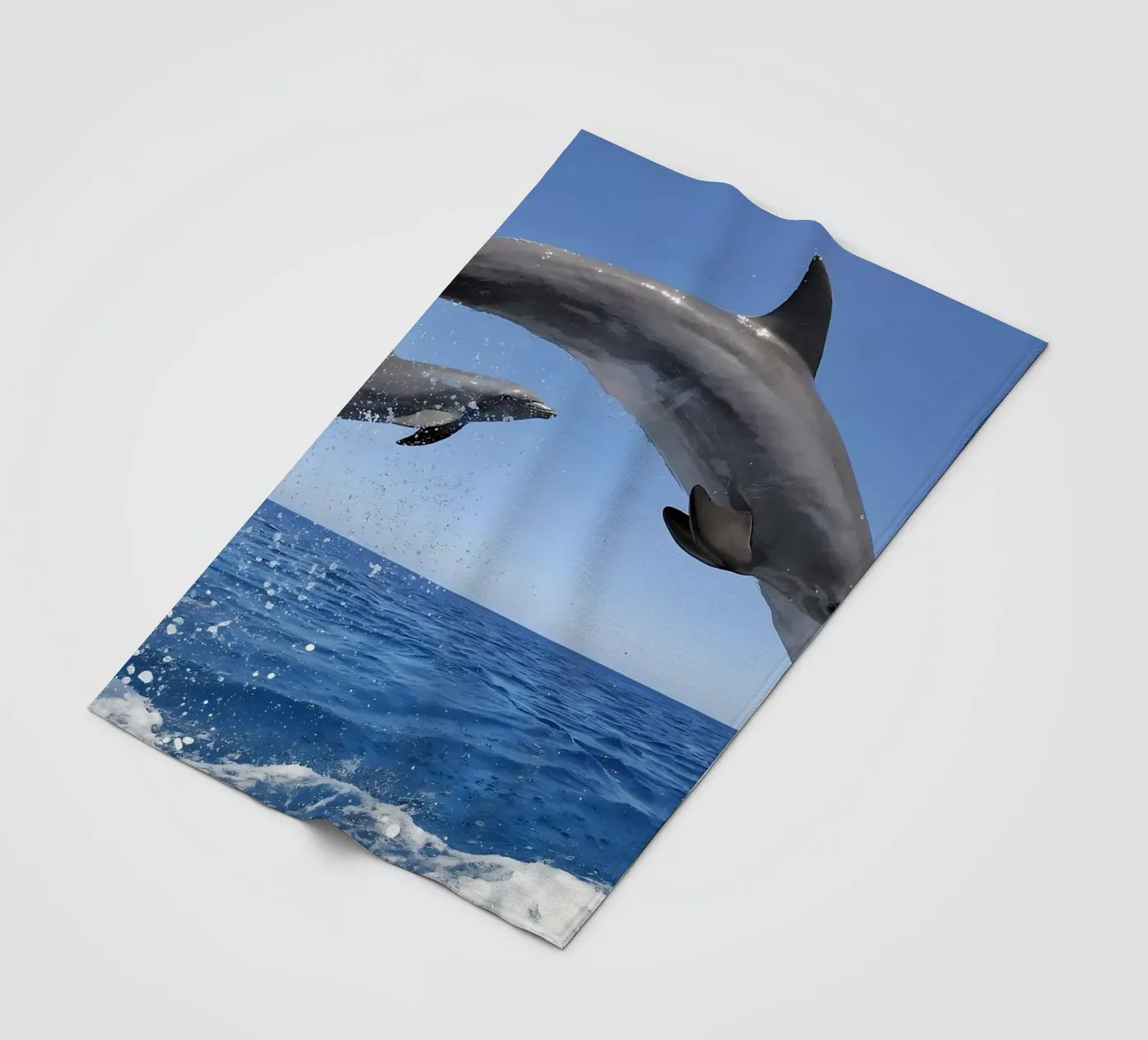 Animal poster 124 coperta in pile da Korrie Lane