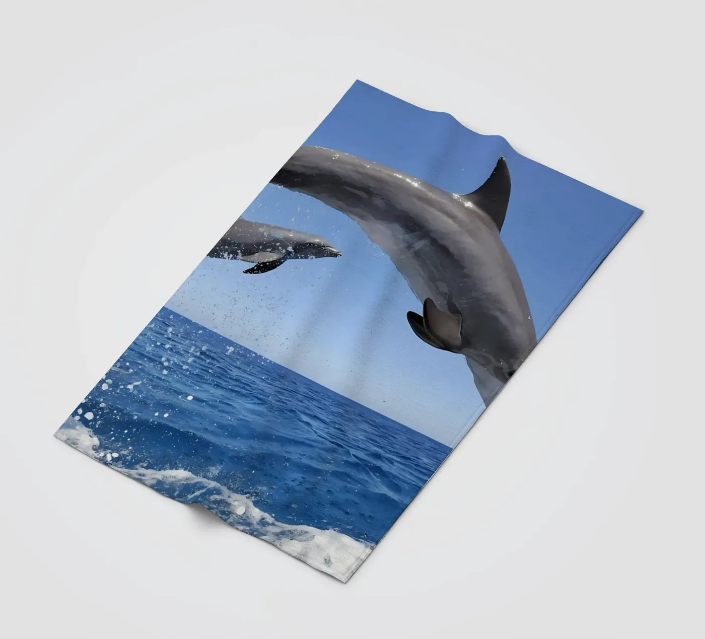 Animal poster 124 Fleecedecke von Korrie Lane