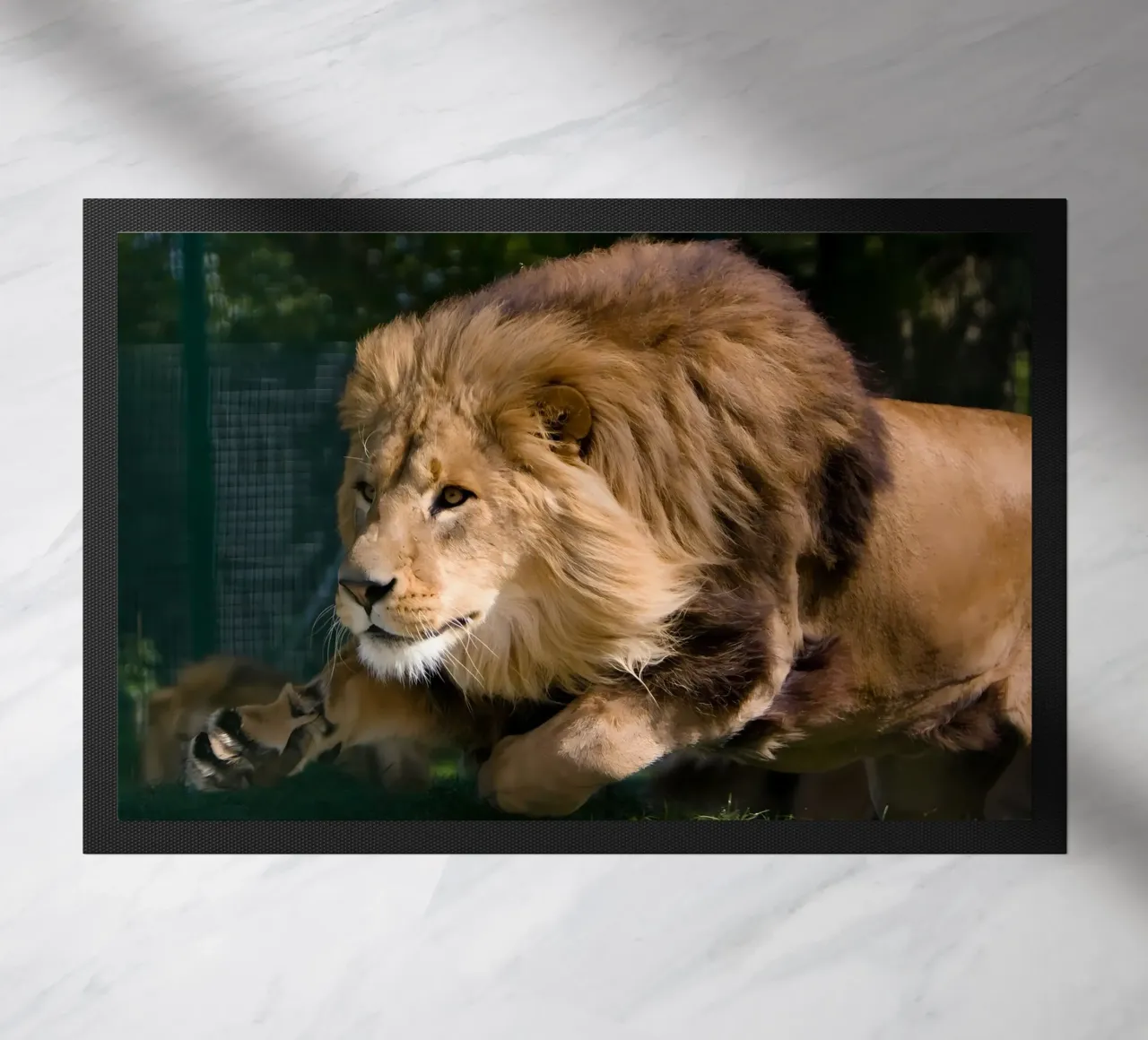 Poster animali 127 zerbino da Korrie Lane