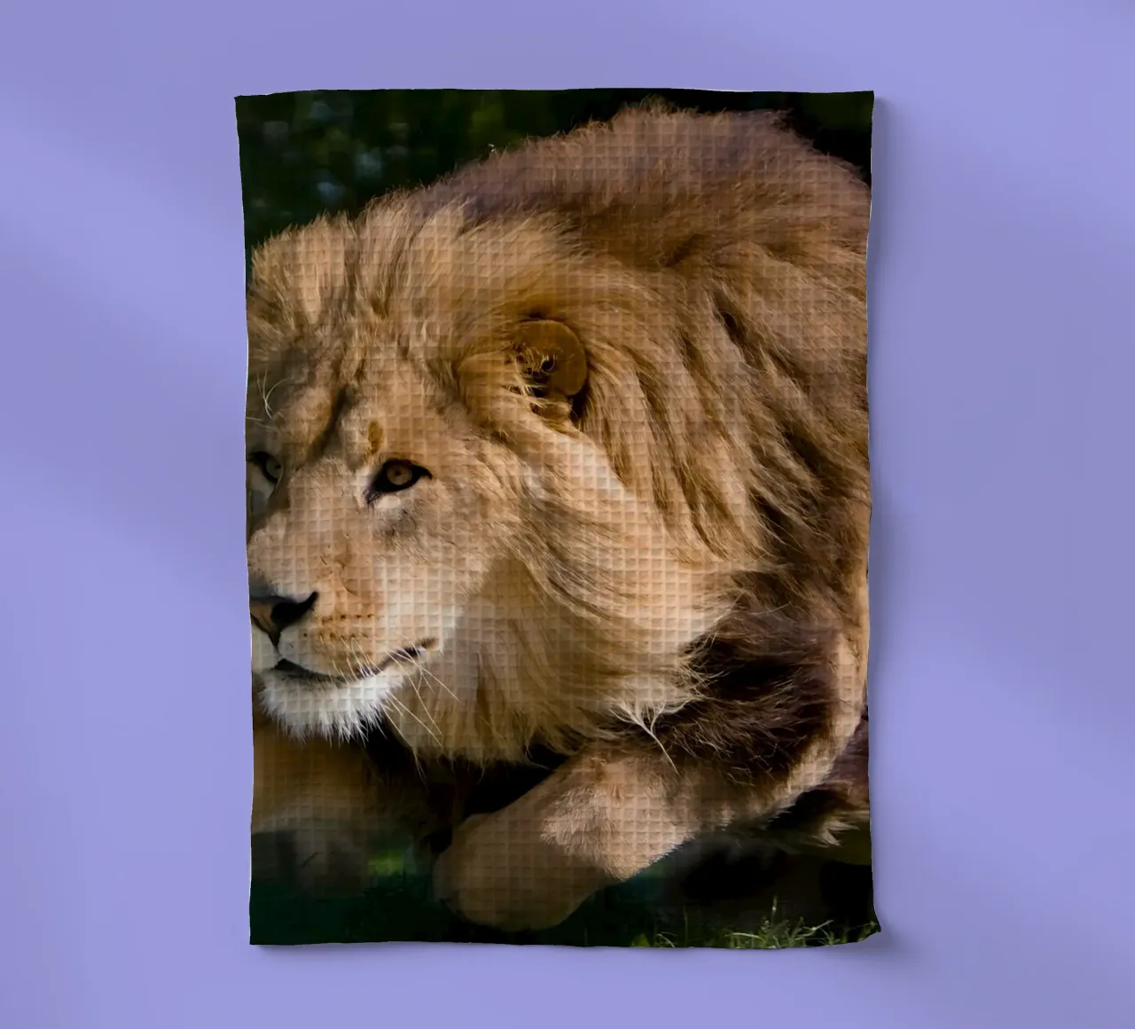 Poster d'animaux 127 torchon de Korrie Lane