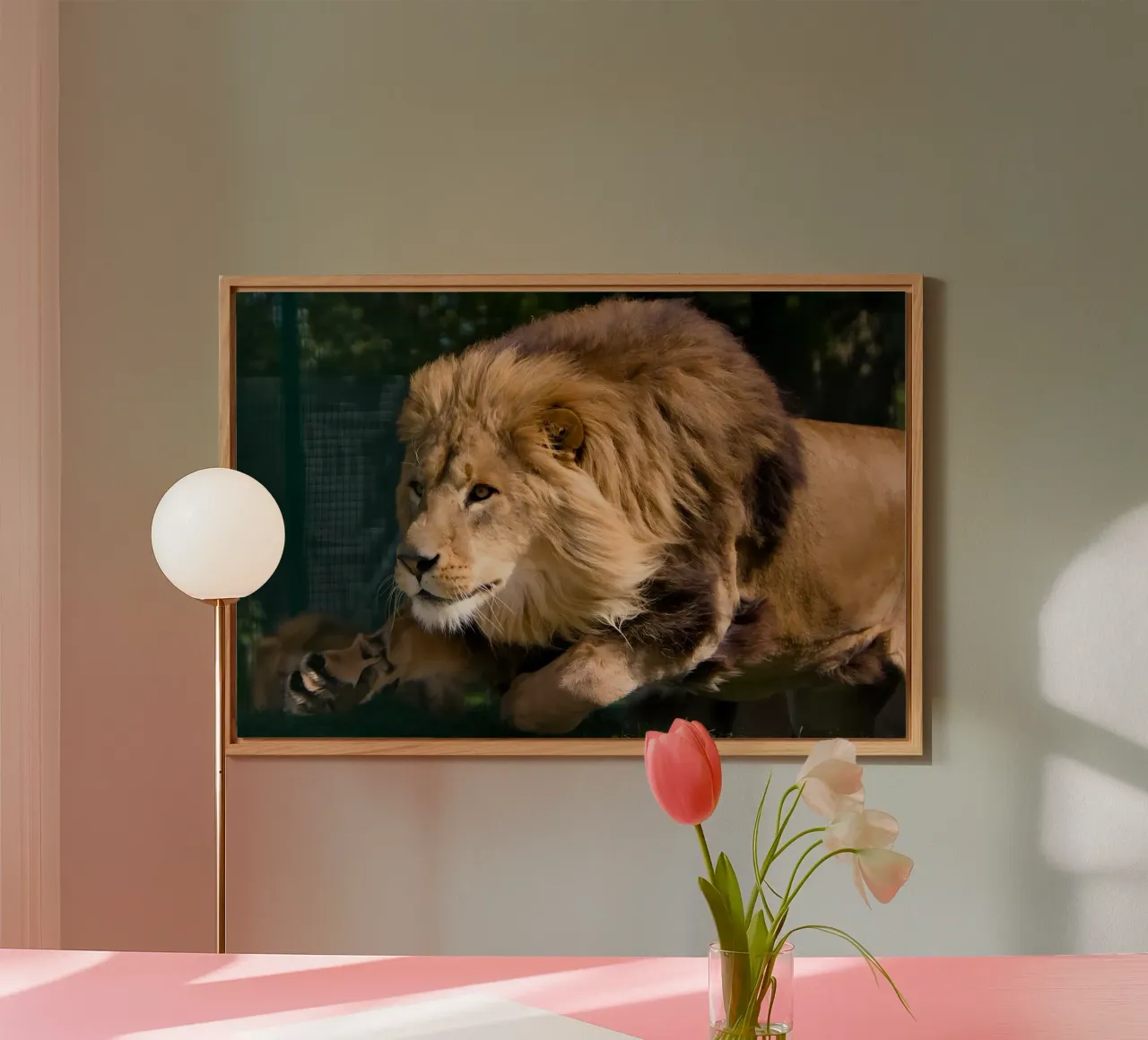 Animal poster 127 alu-dibond by Korrie Lane