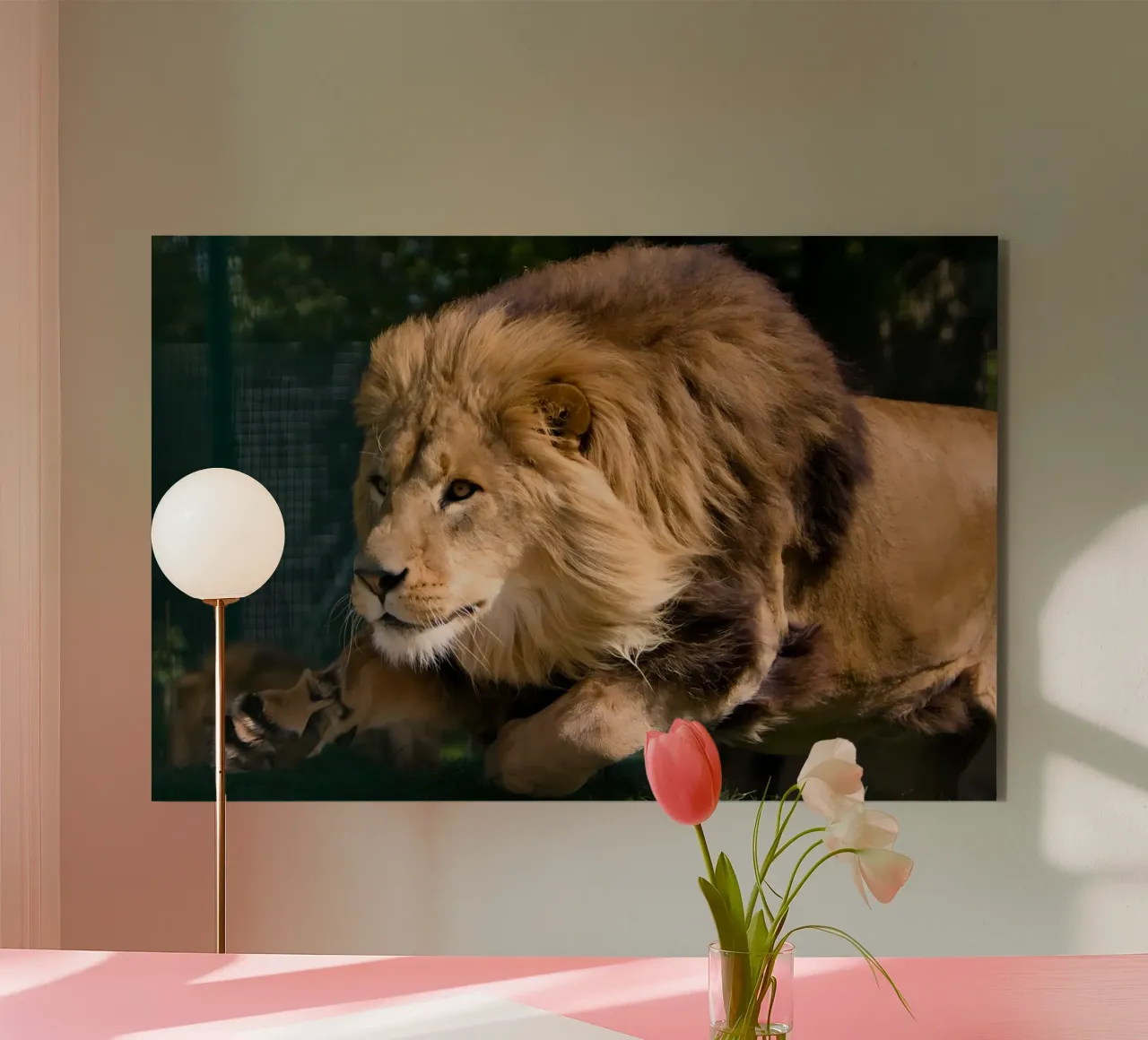 Animal poster 127 alu-dibond by Korrie Lane