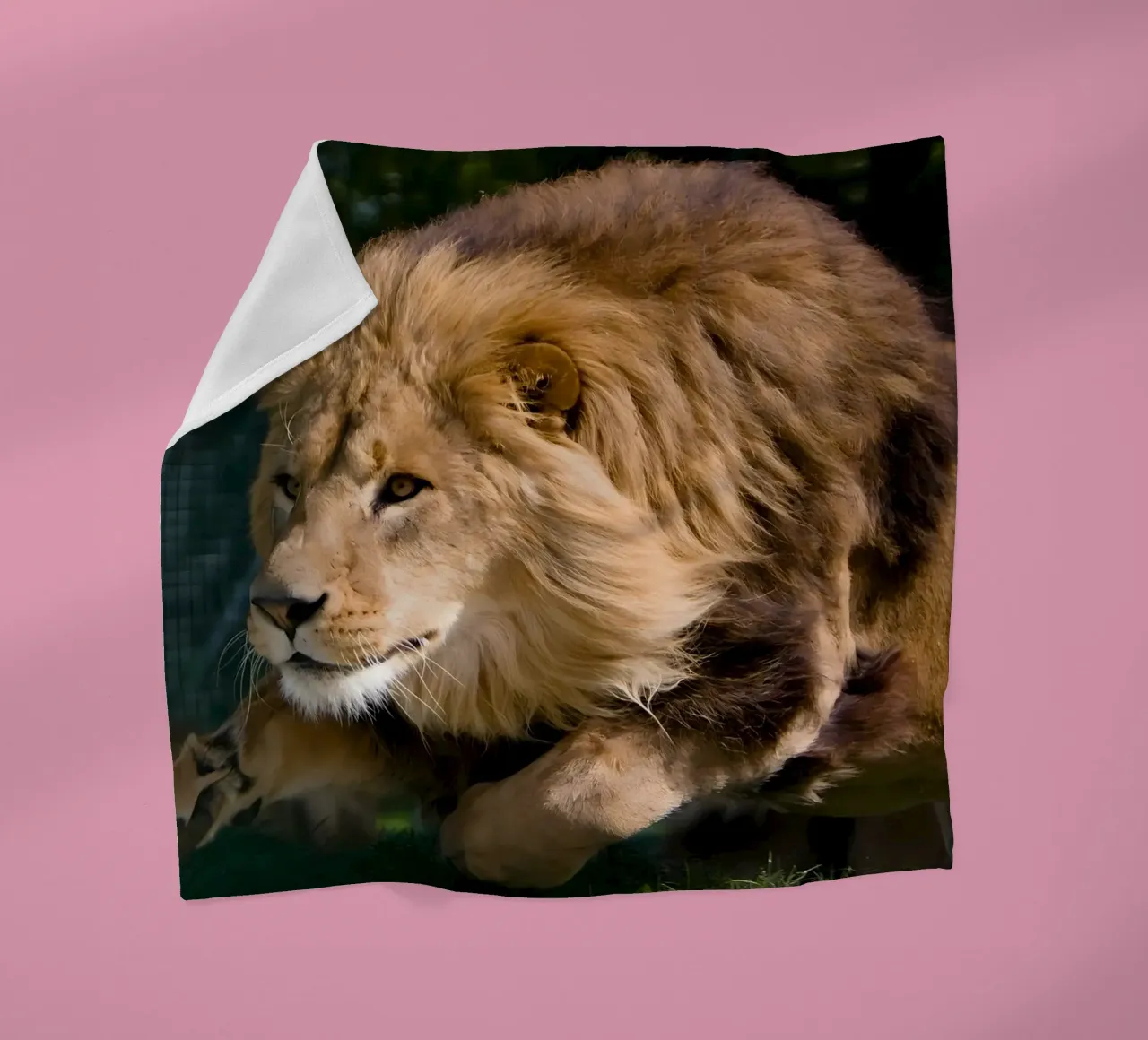 Poster animali 127 coperta in pile da Korrie Lane