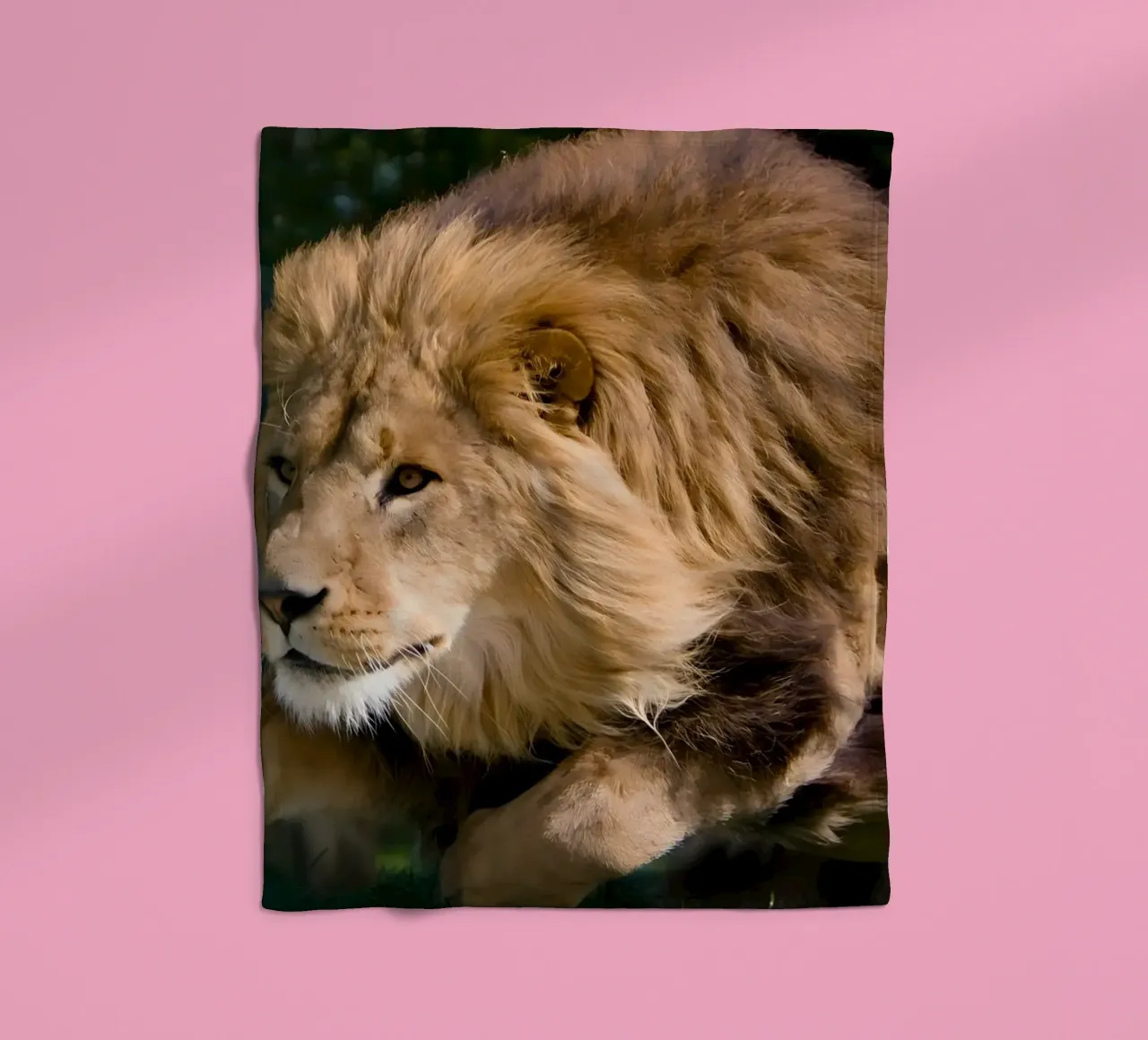 Poster animali 127 coperta in pile da Korrie Lane
