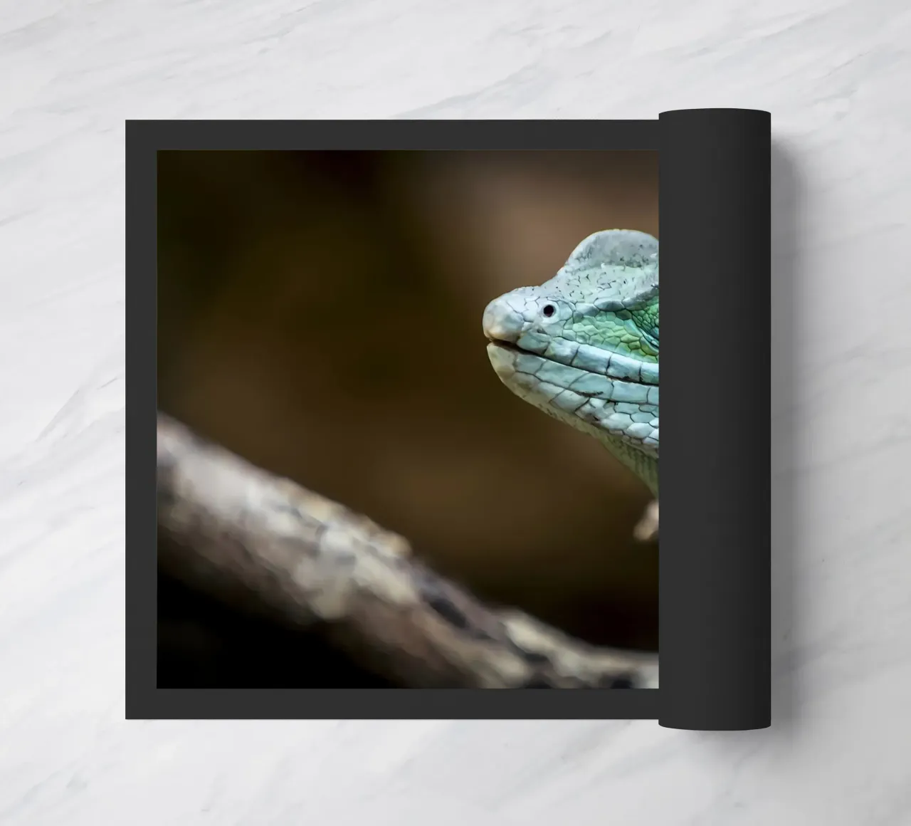 Dier deurmat van Korrie Lane