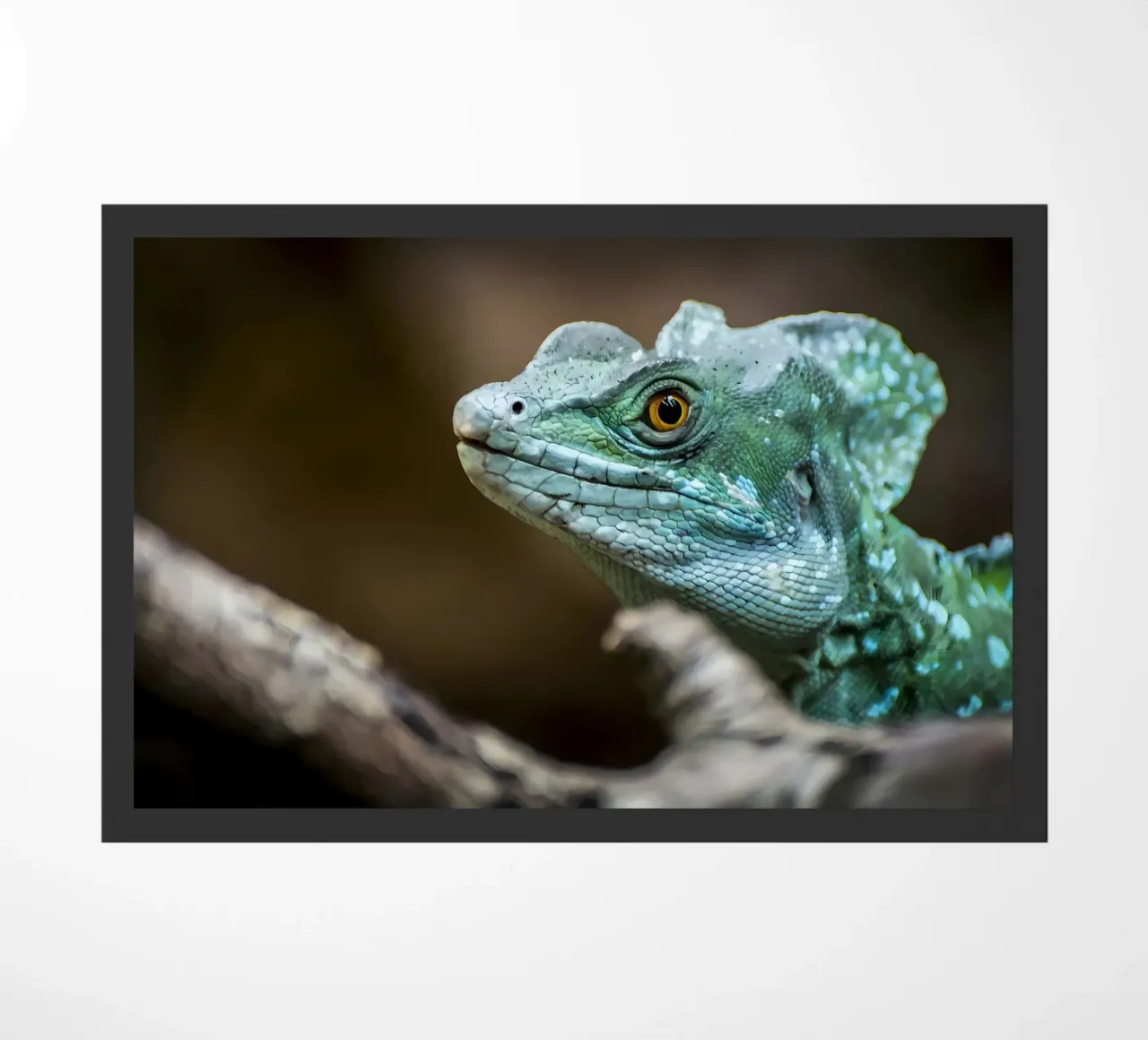 Dier deurmat van Korrie Lane