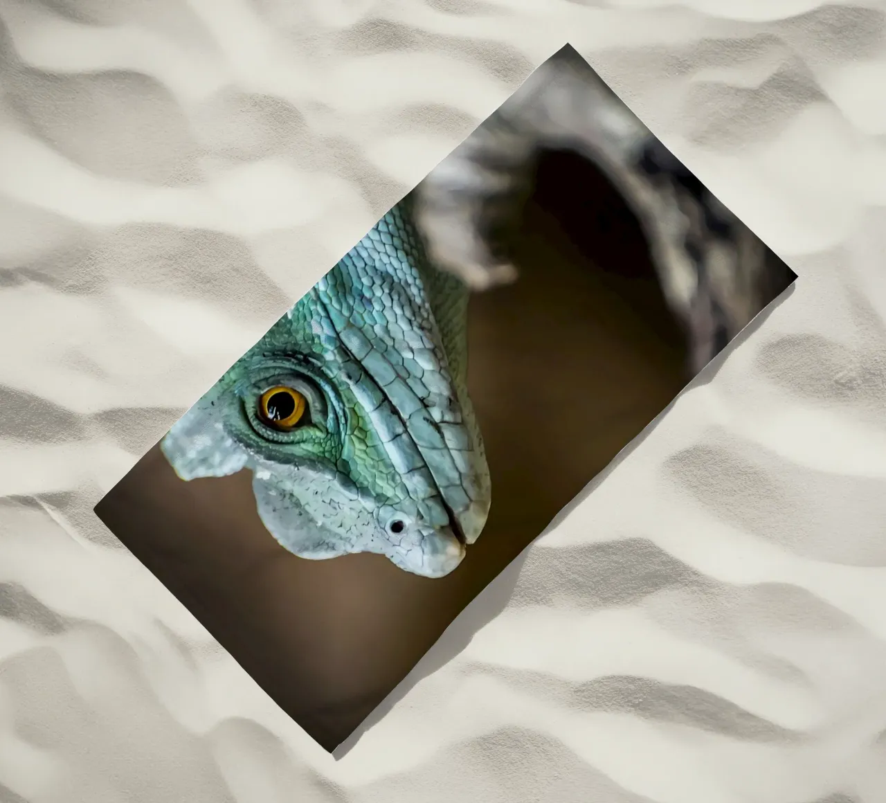 Animal telo mare da Korrie Lane