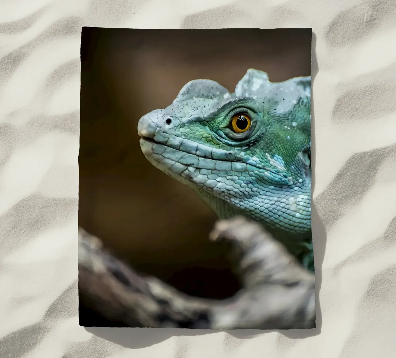 Animal telo mare da Korrie Lane