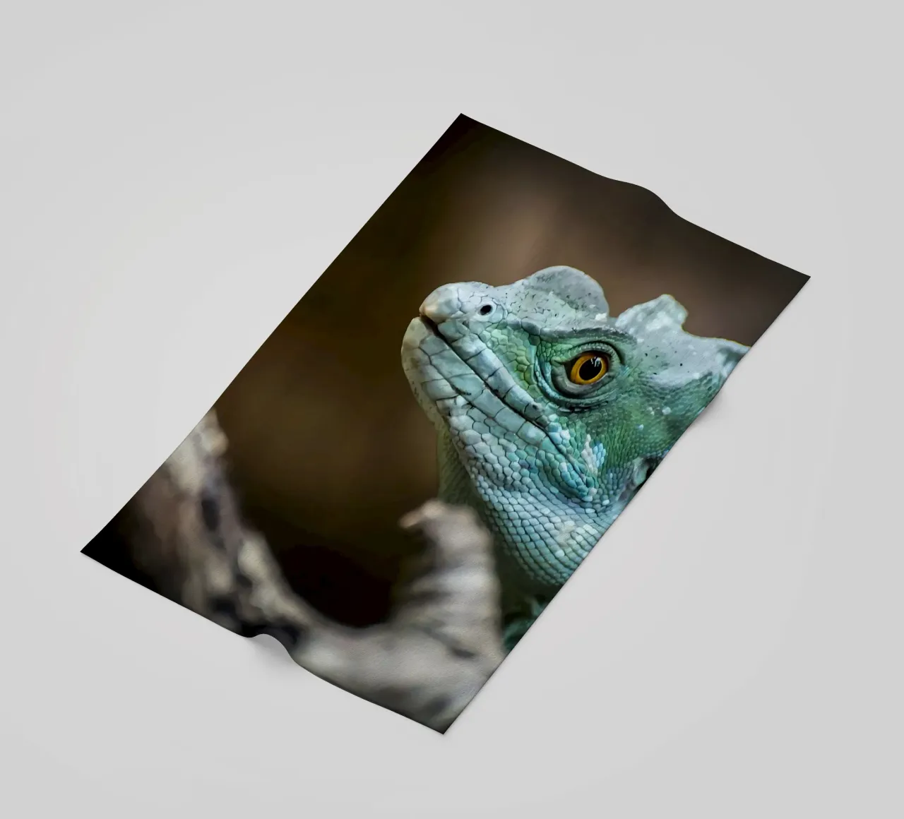 Animal telo mare da Korrie Lane