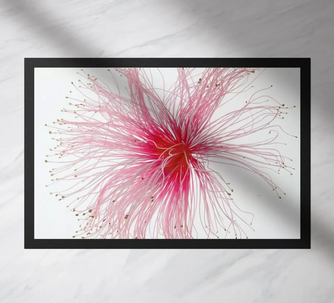 Botanical Obsession 23 zerbino da Shot By Clint