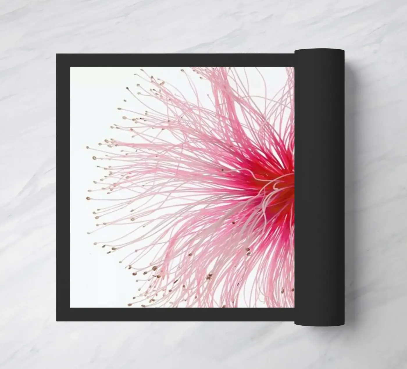 Botanical Obsession 23 zerbino da Shot By Clint