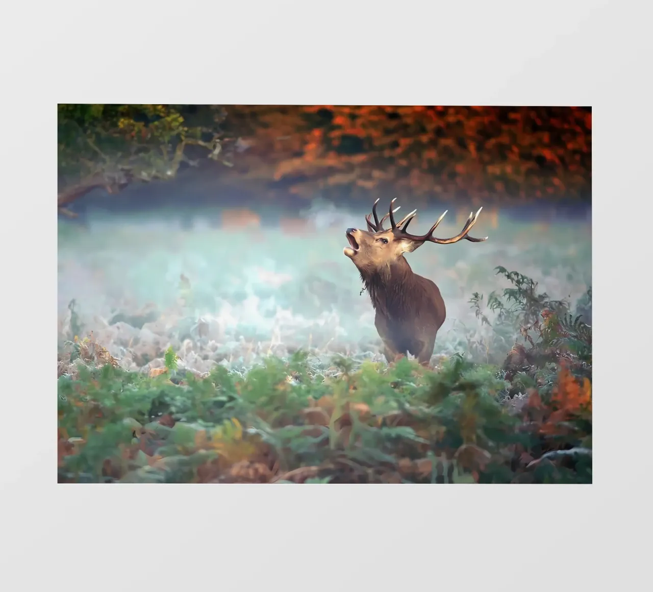 Dierenposter 143 pvc-zeil van Korrie Lane