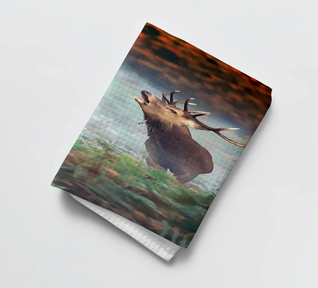 Poster d'animaux 143 torchon de Korrie Lane