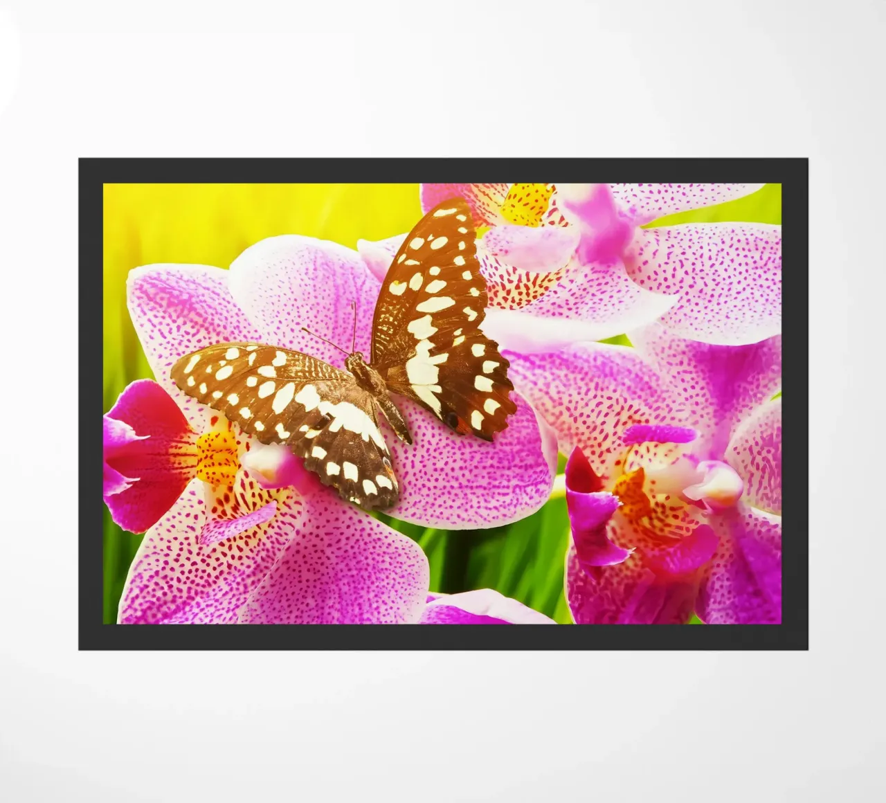 Dierenposter 149 deurmat van Korrie Lane