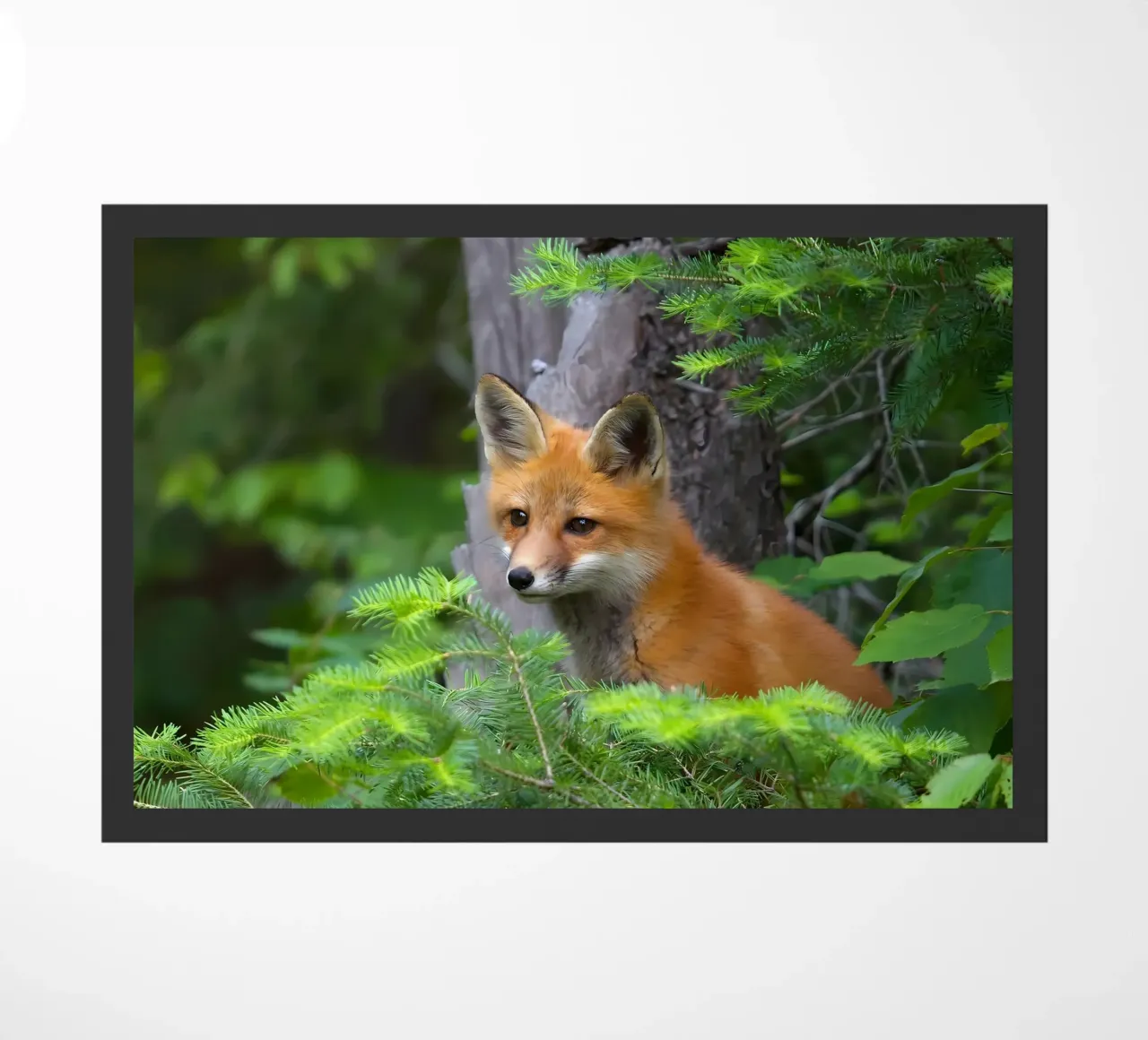 Animal poster 151 doormat by Korrie Lane