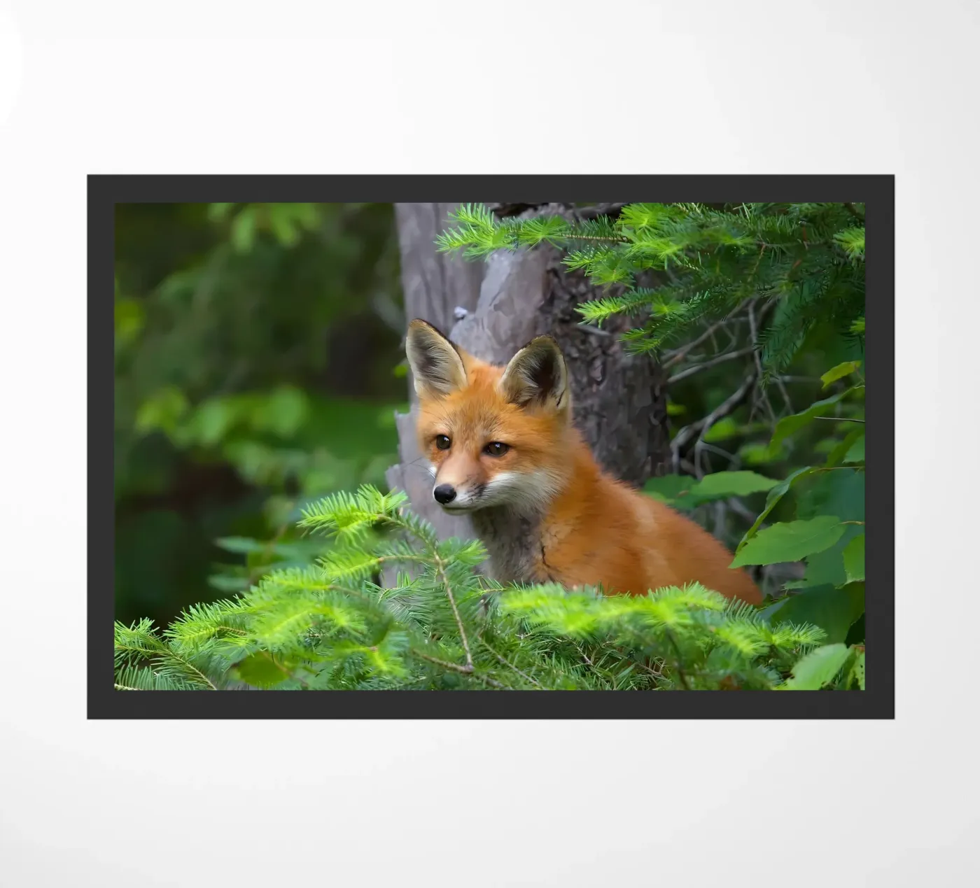 Animal poster 151 deurmat van Korrie Lane