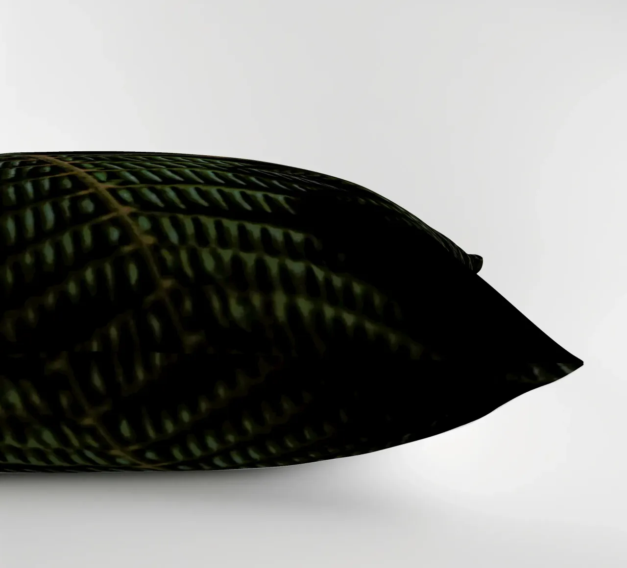 Fern 3 cuscino da Nur Mut