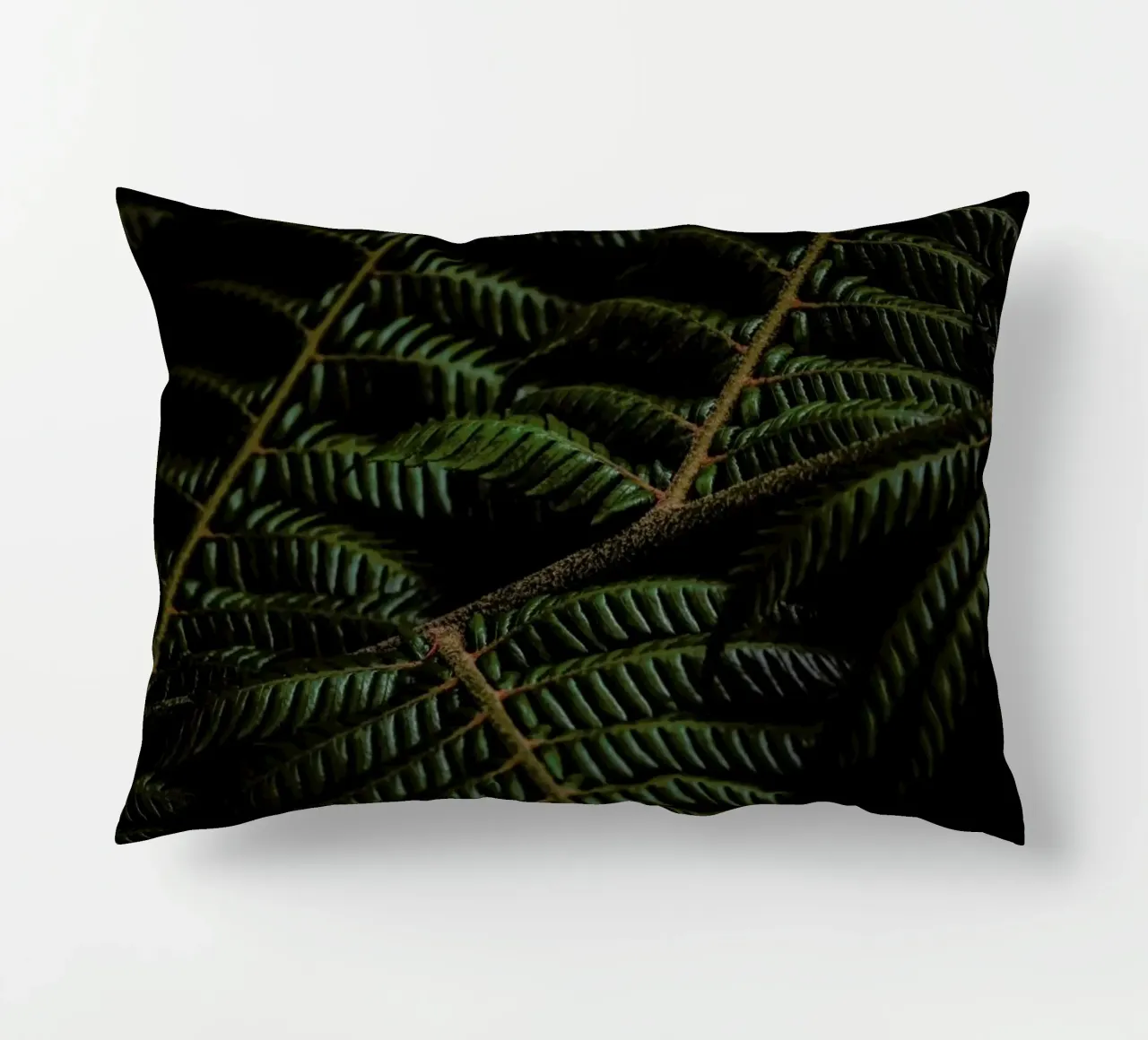 Fern 3 cuscino da Nur Mut