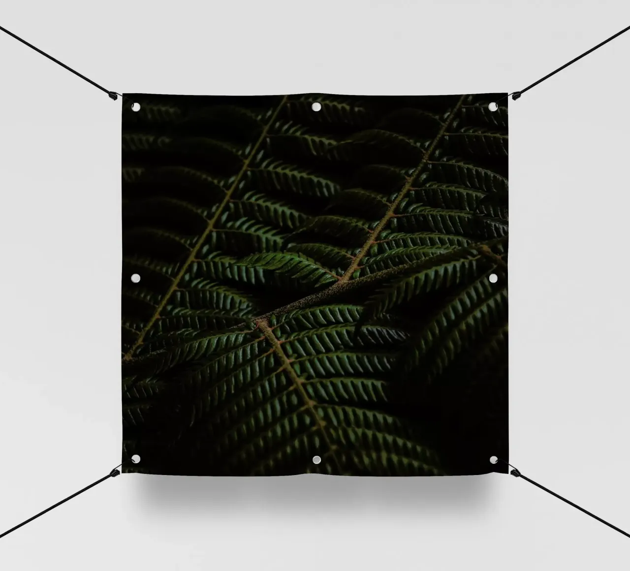 Fern 3 pvc cover by Nur Mut