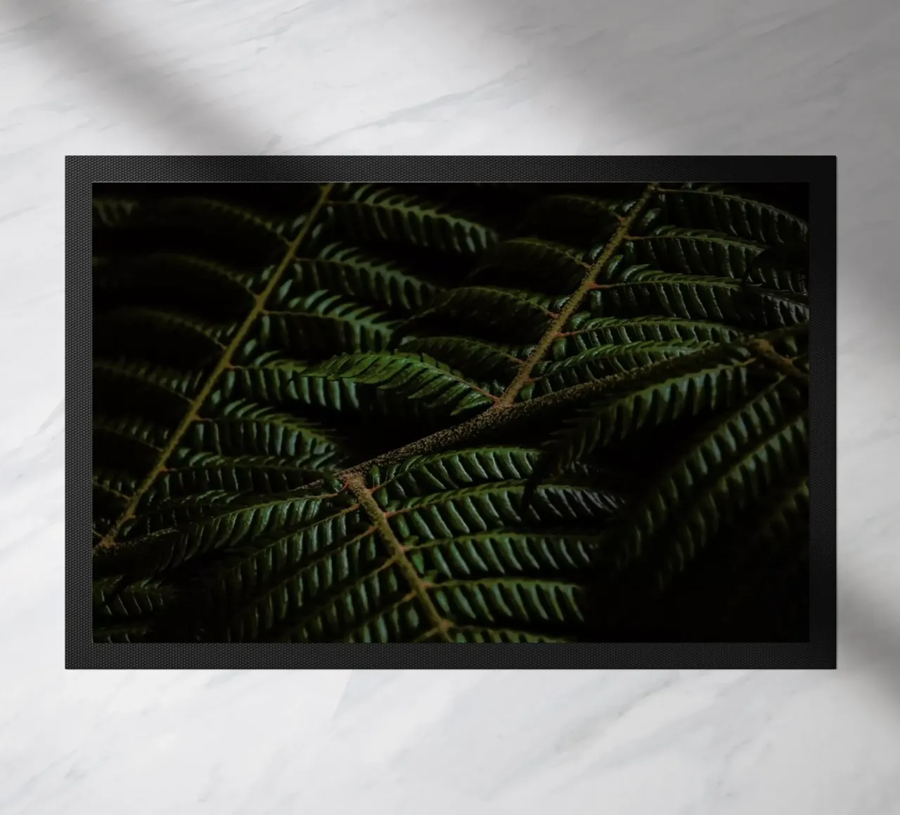 Fern 3 zerbino da Nur Mut