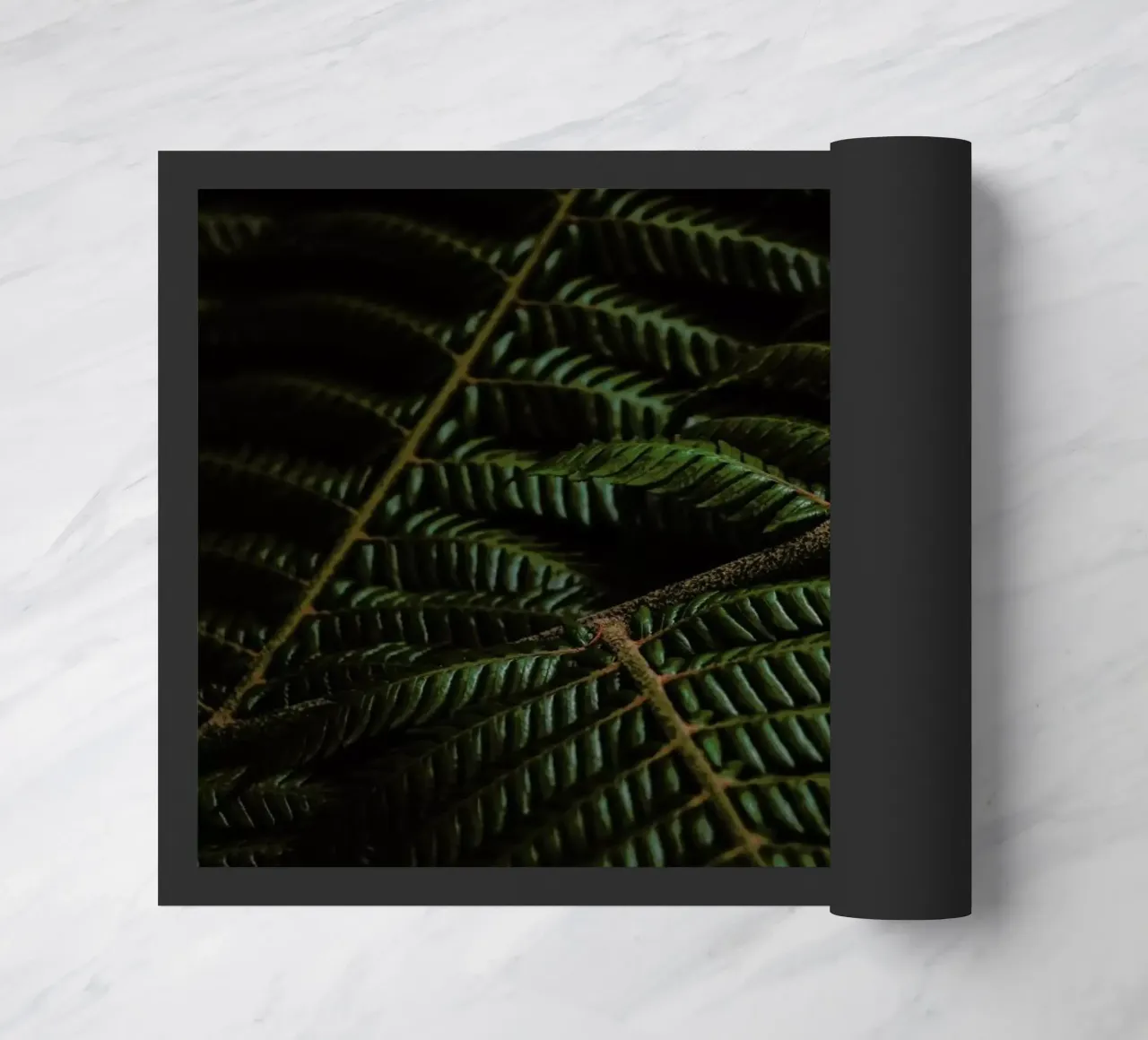 Fern 3 zerbino da Nur Mut