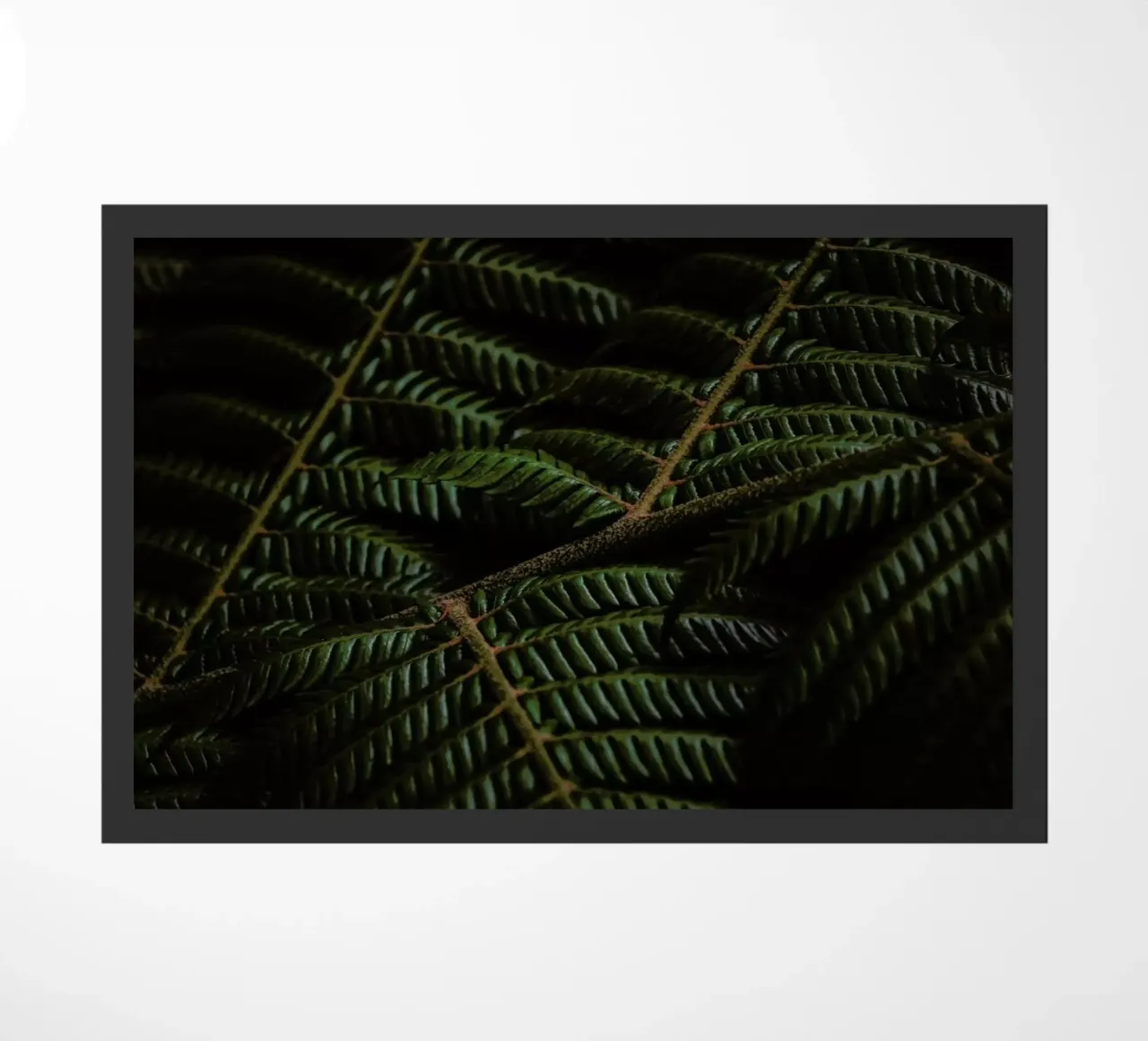 Fern 3 zerbino da Nur Mut