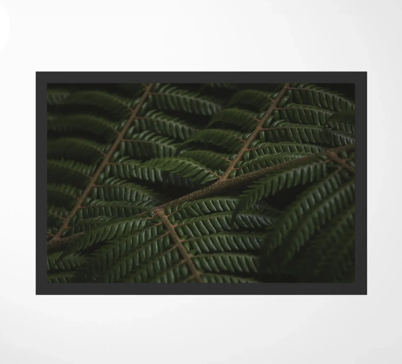 Fern 3 doormat by Nur Mut
