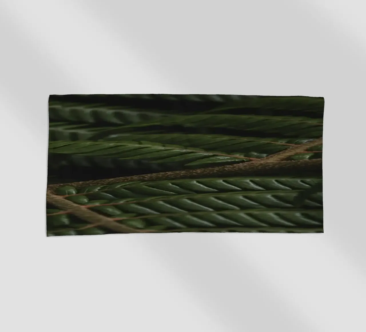 Fern 3 telo mare da Nur Mut