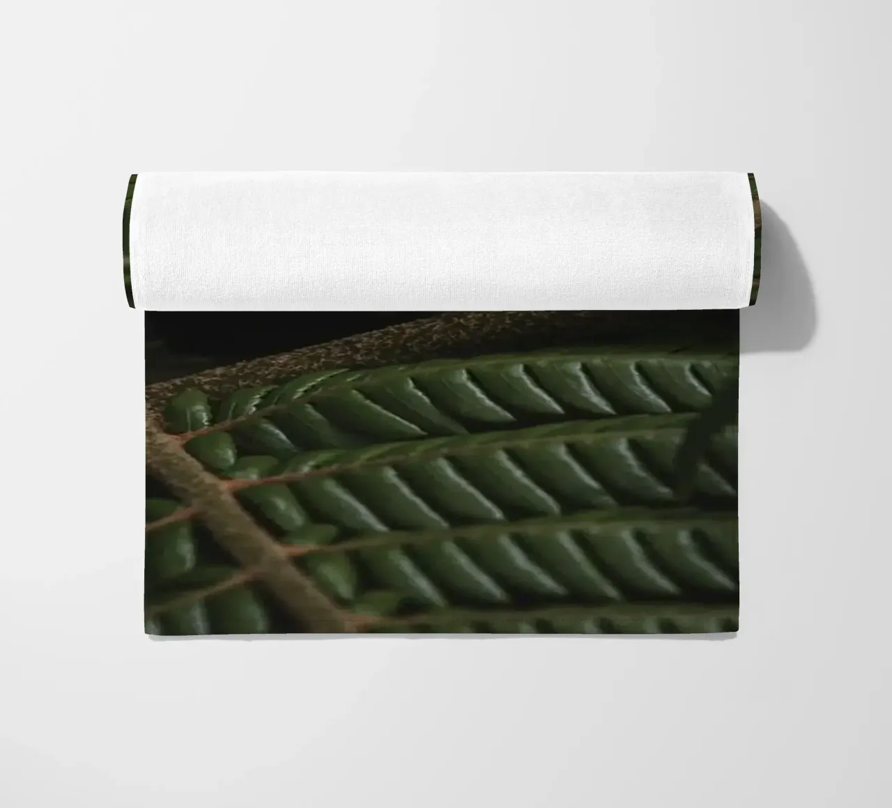 Fern 3 telo mare da Nur Mut