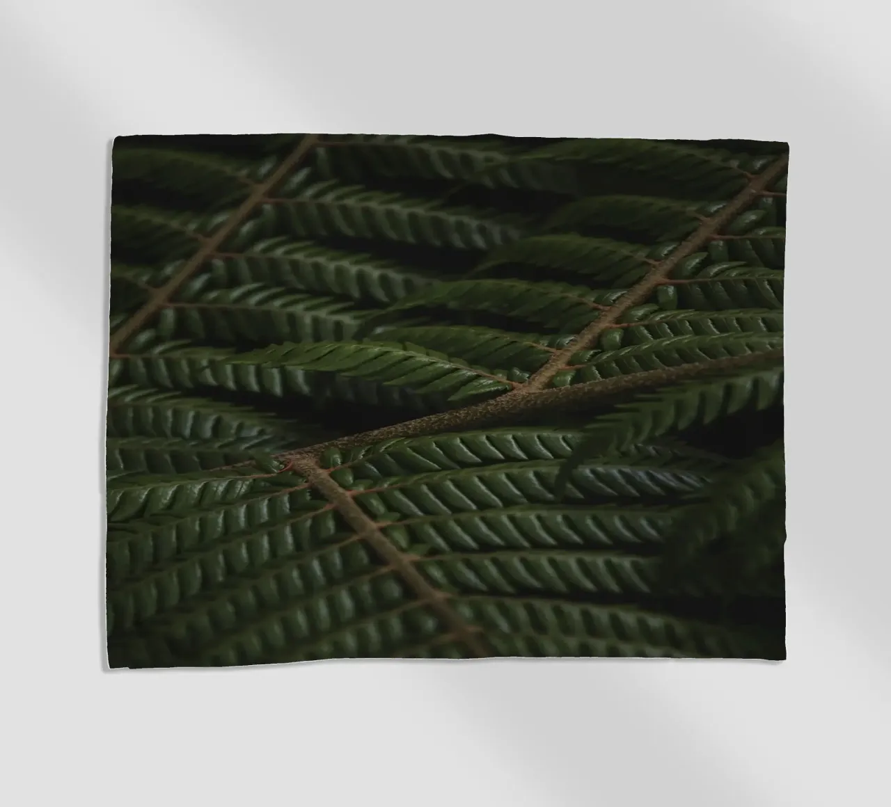 Fern 3 telo mare da Nur Mut