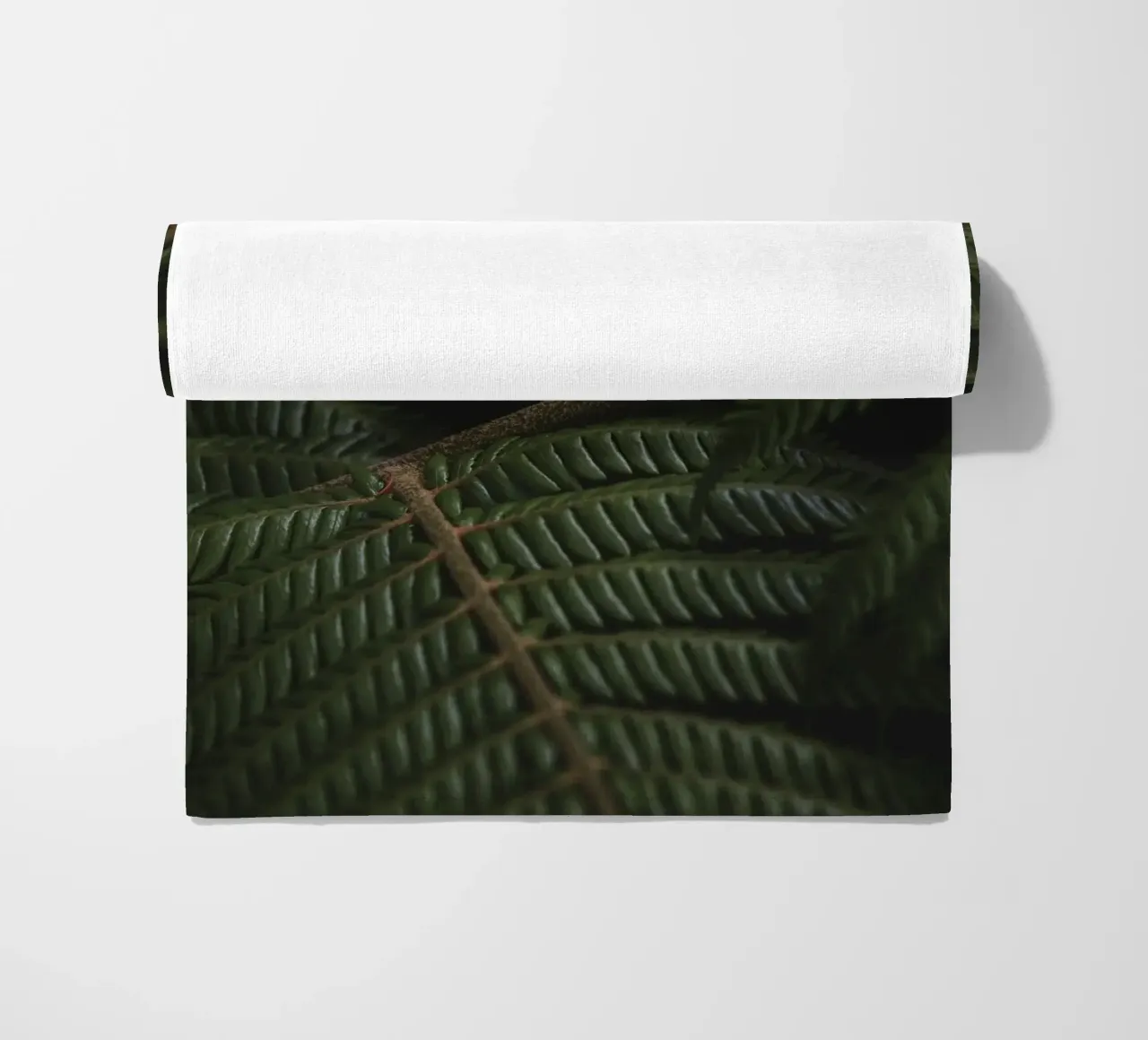 Fern 3 telo mare da Nur Mut