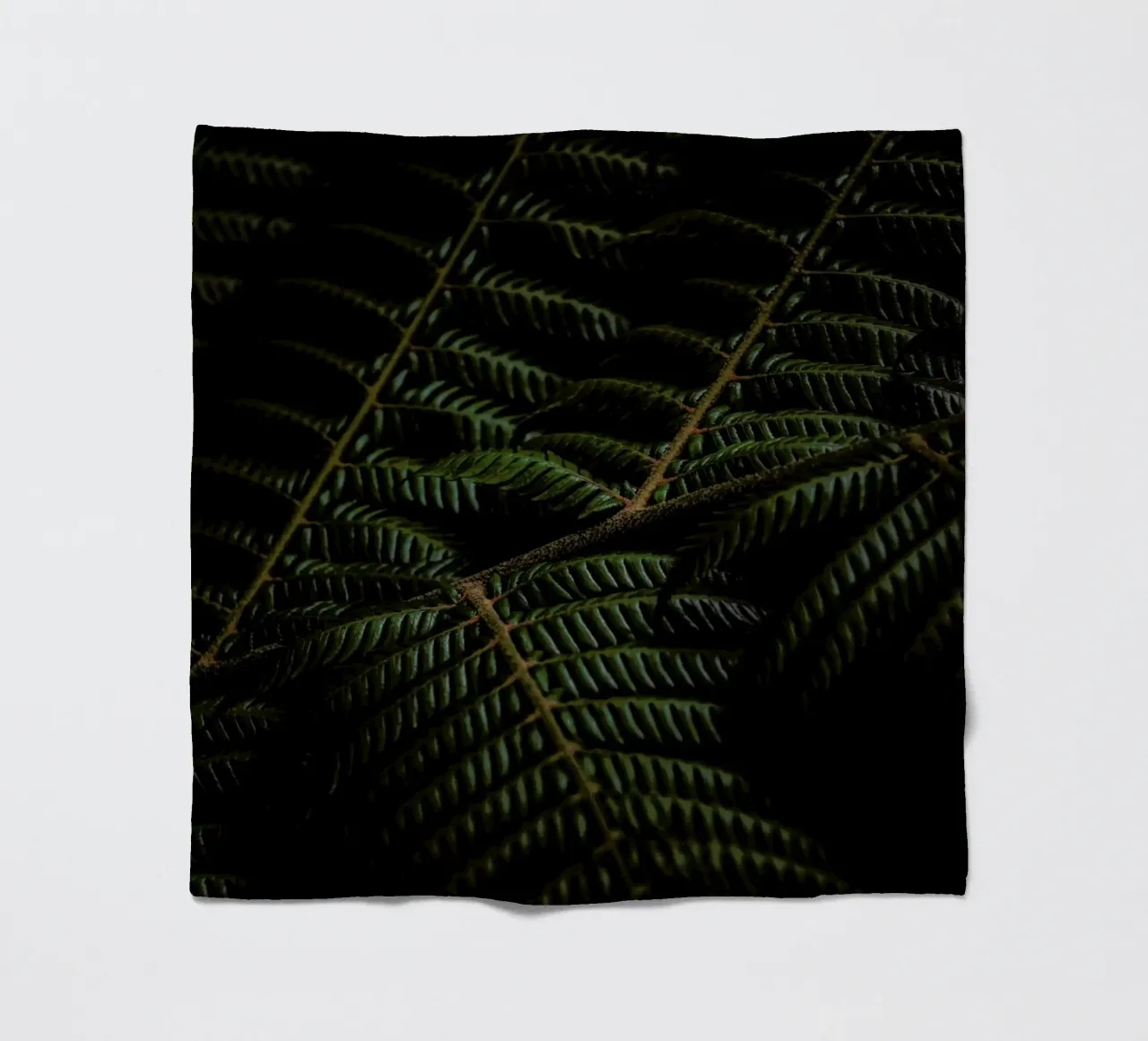 Fern 3 coperta in pile da Nur Mut