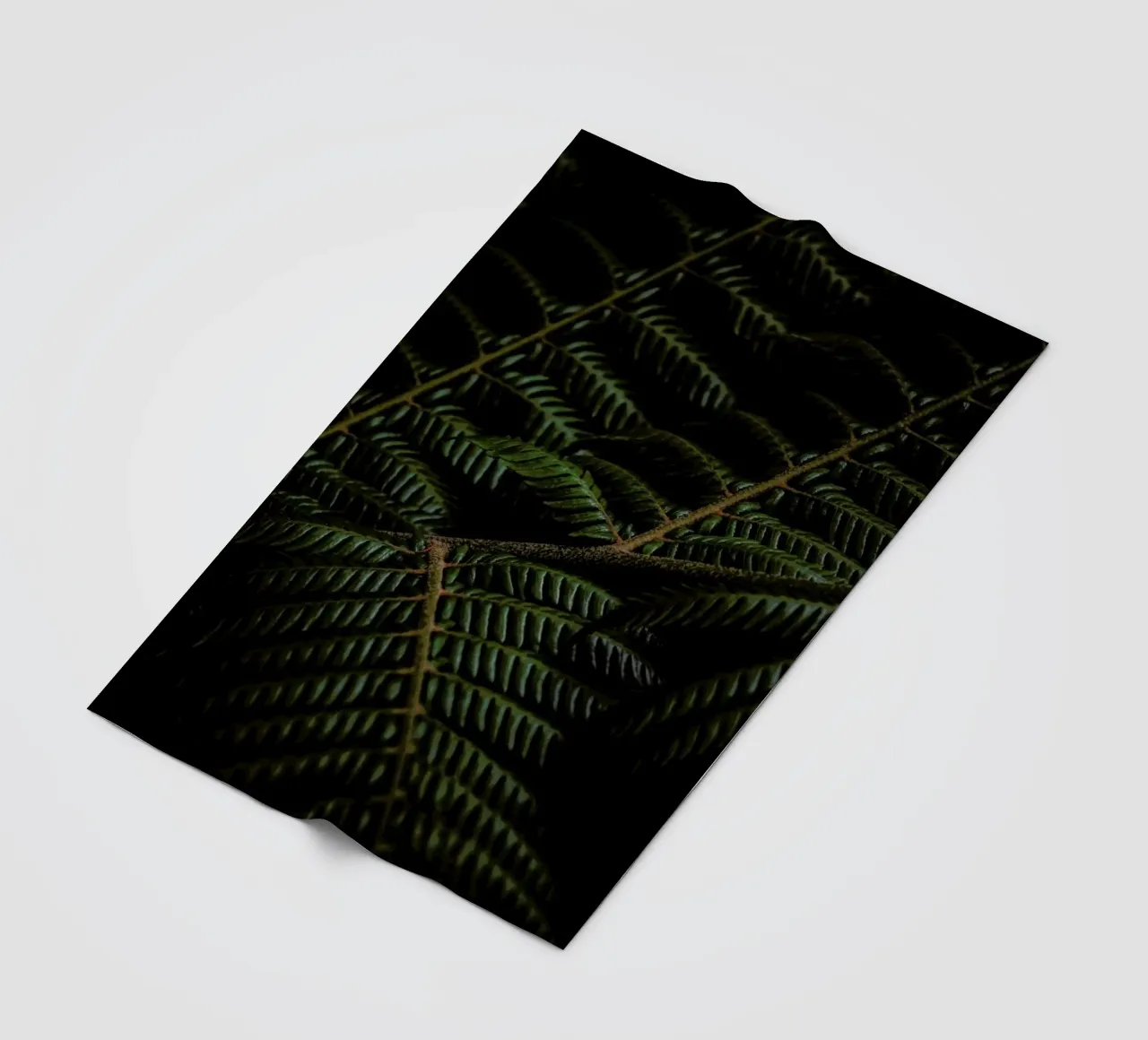 Fern 3 coperta in pile da Nur Mut
